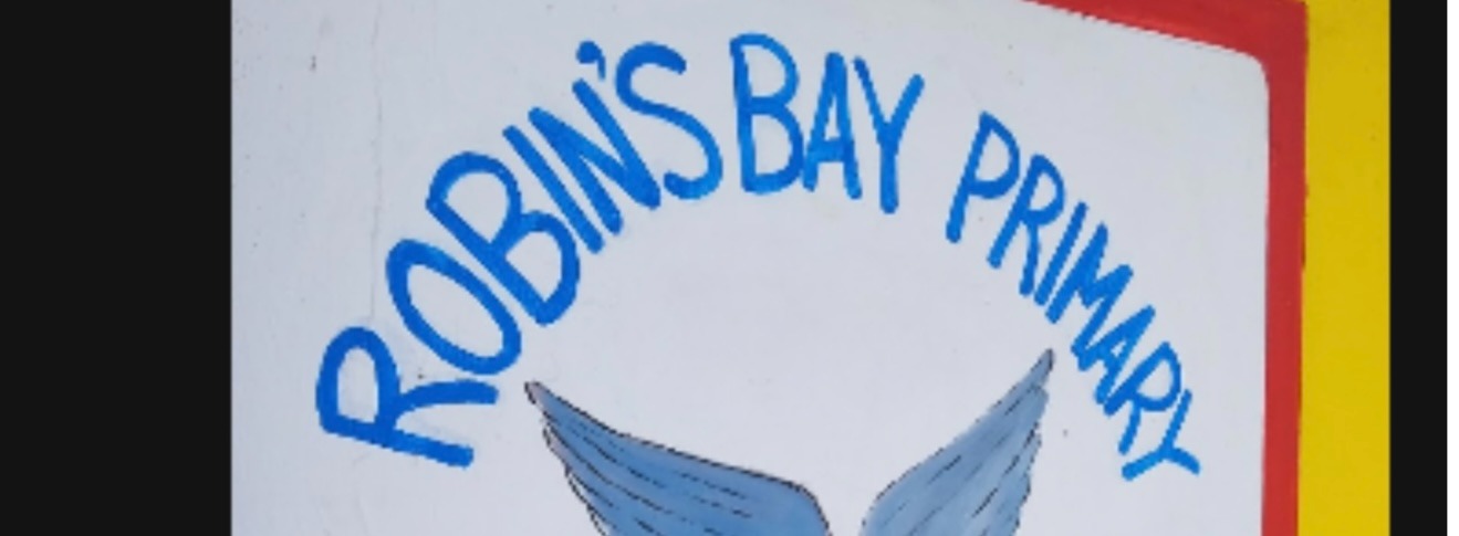 Support Robin's Bay School's New Learning Space campaign photo, 2 of 4