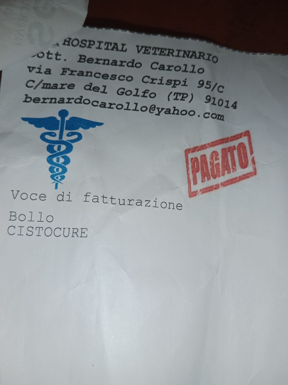 Pallino sta male,  l'uretra è ostruita e deve essere operato campaign photo, 2 of 8