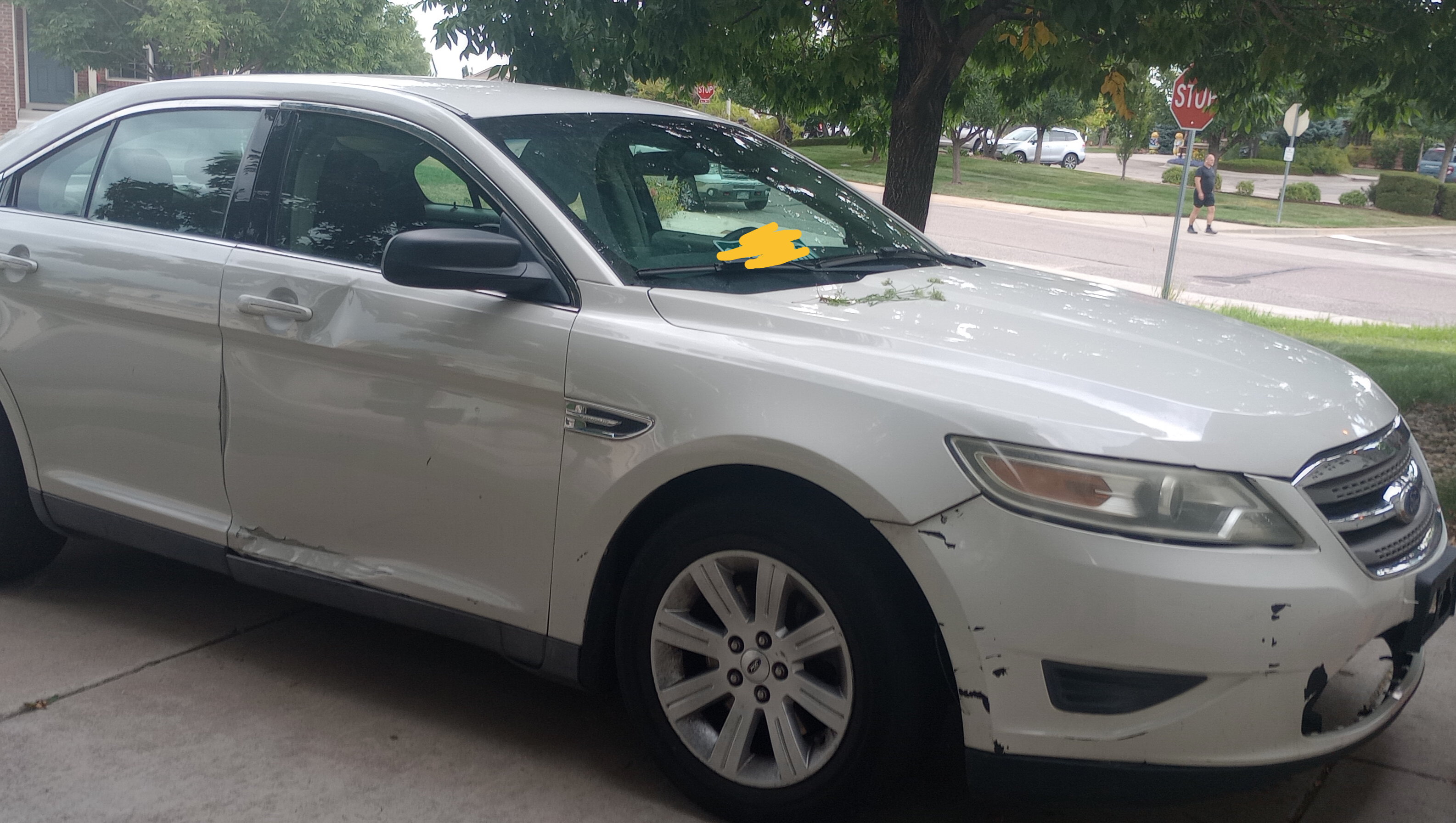 Lexy's Path to Independence: A Car Fund photo