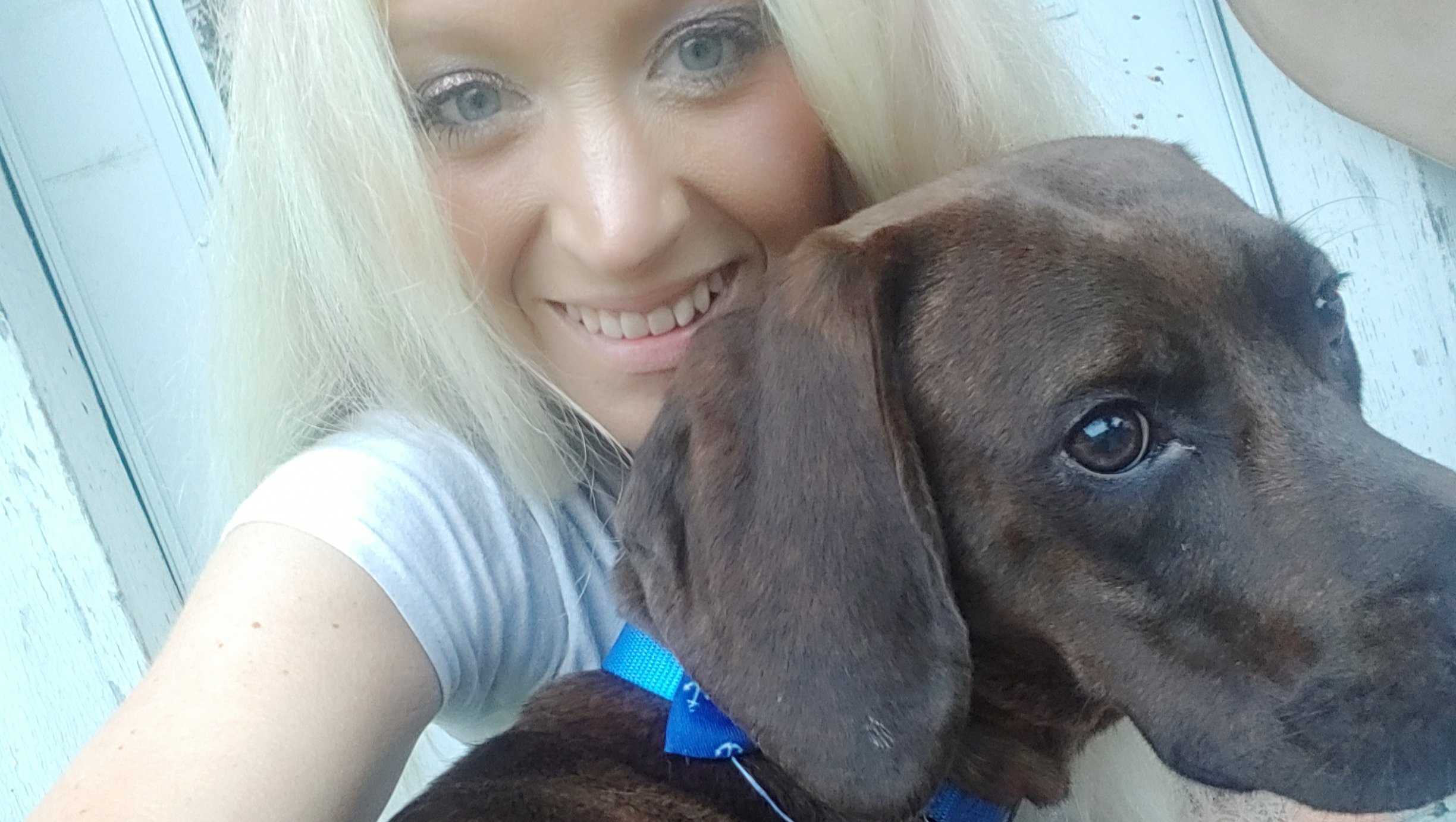 Help Homeless Autistic Girl-Illegally Evicted & Her Dog photo