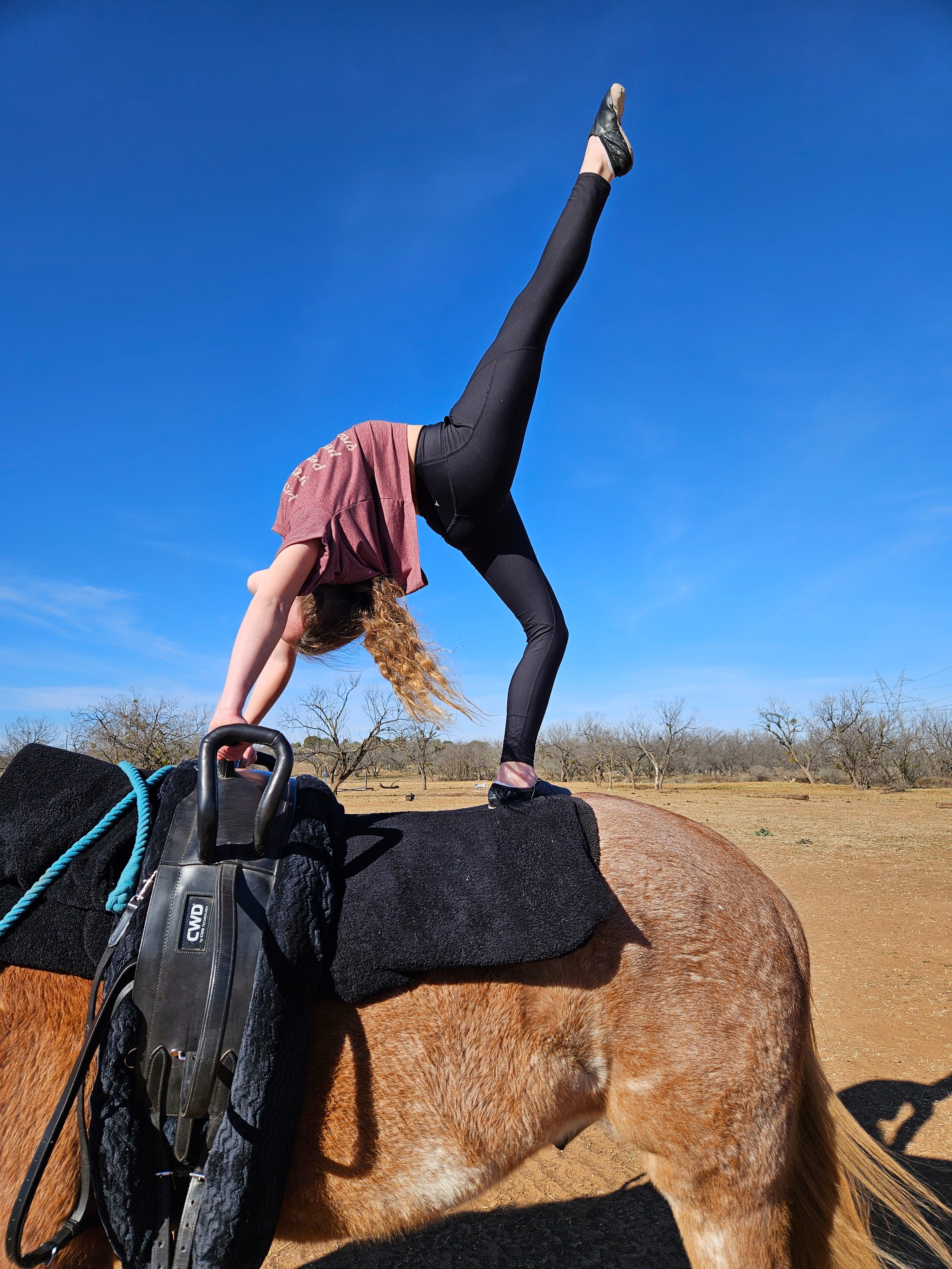 A Special Pad for Our Beloved Horses campaign photo, 2 of 7