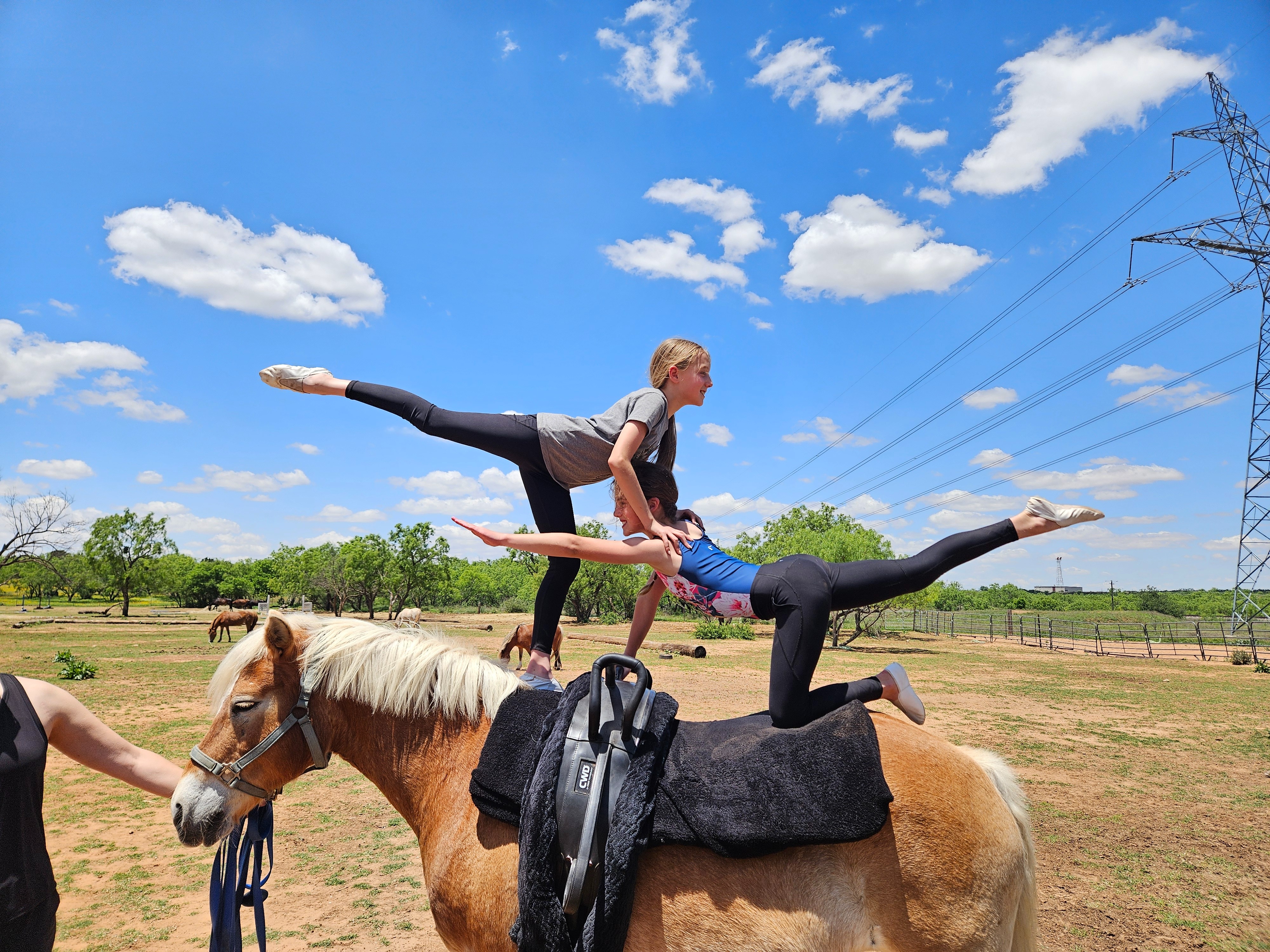 A Special Pad for Our Beloved Horses campaign photo, 4 of 7