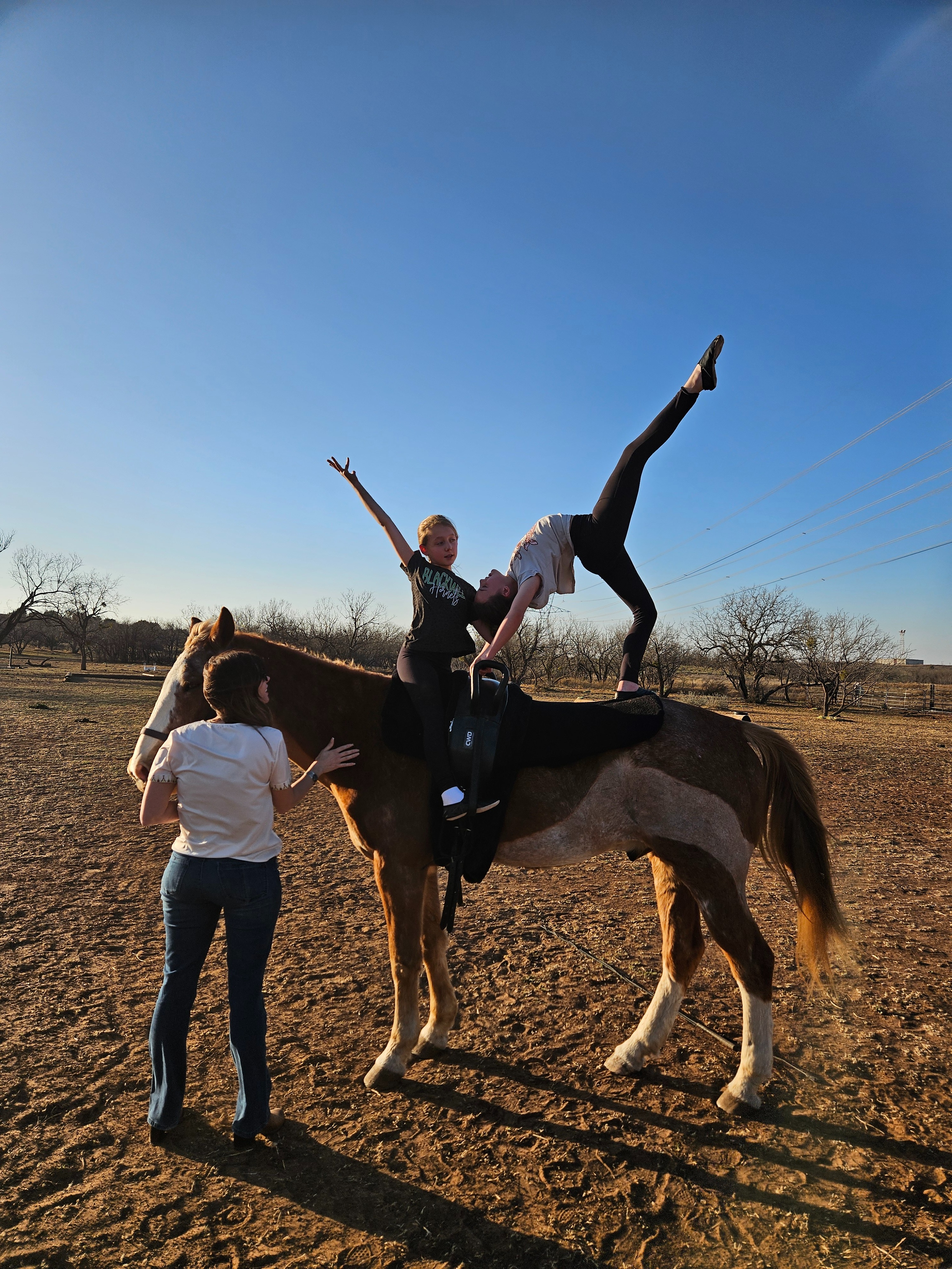 A Special Pad for Our Beloved Horses campaign photo, 5 of 7