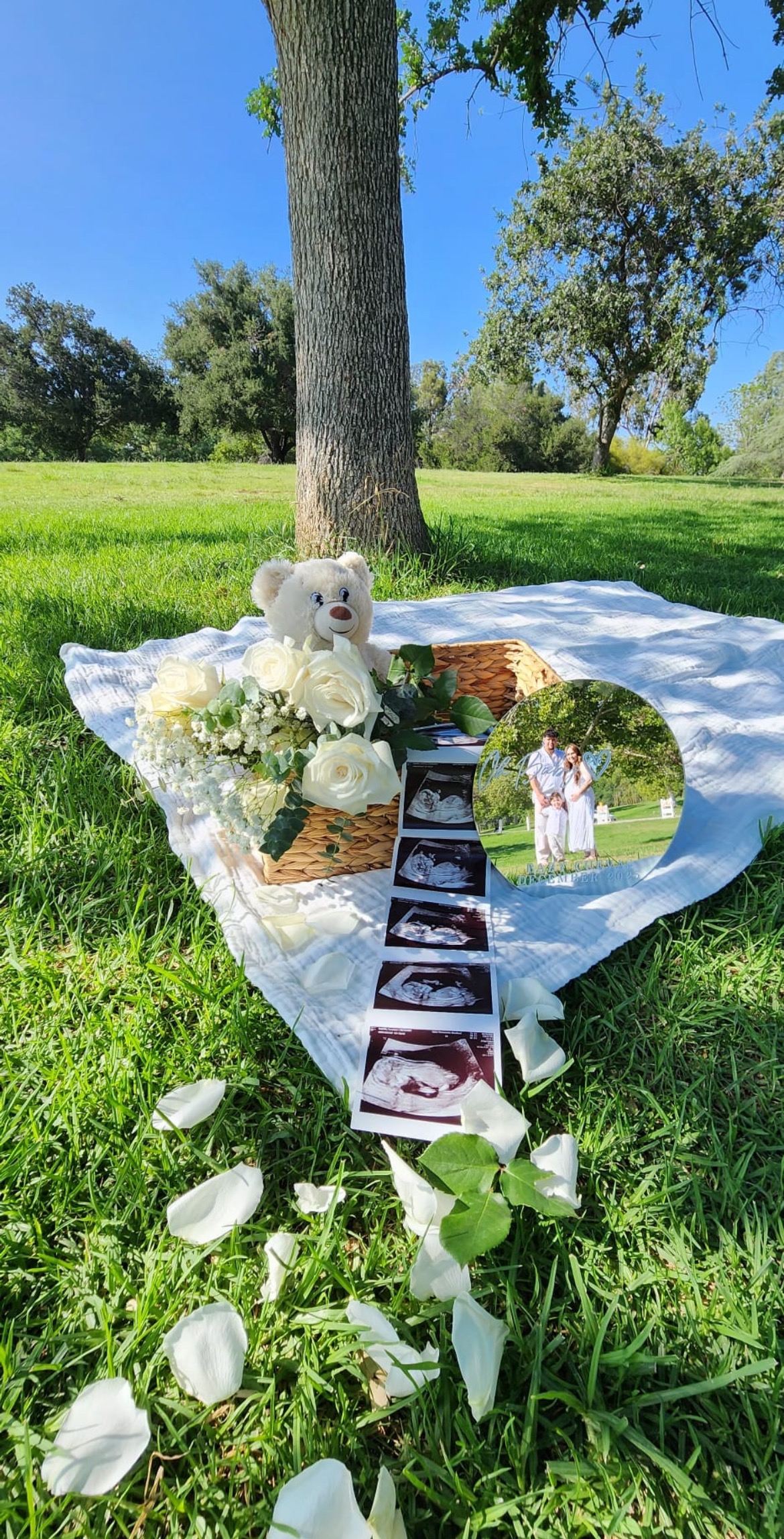 User-uploaded image 1