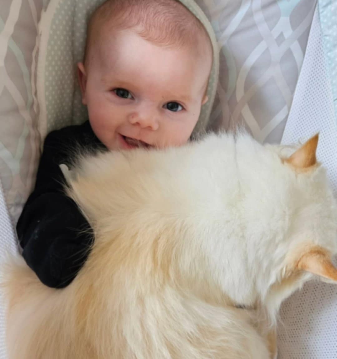 Support for April, Cody & Baby Autumn campaign photo, 6 of 7