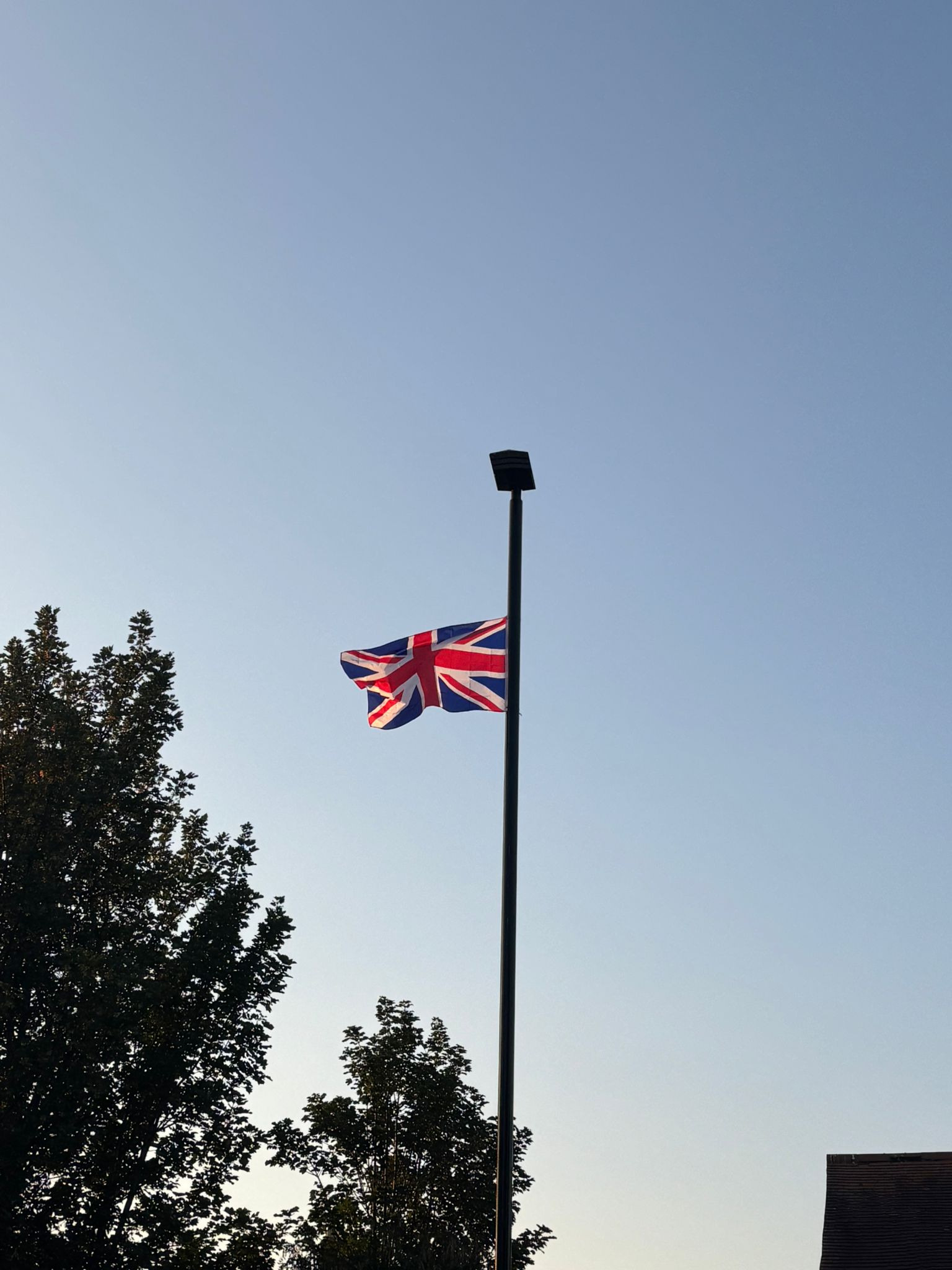 Imagen cargada por el usuario 1