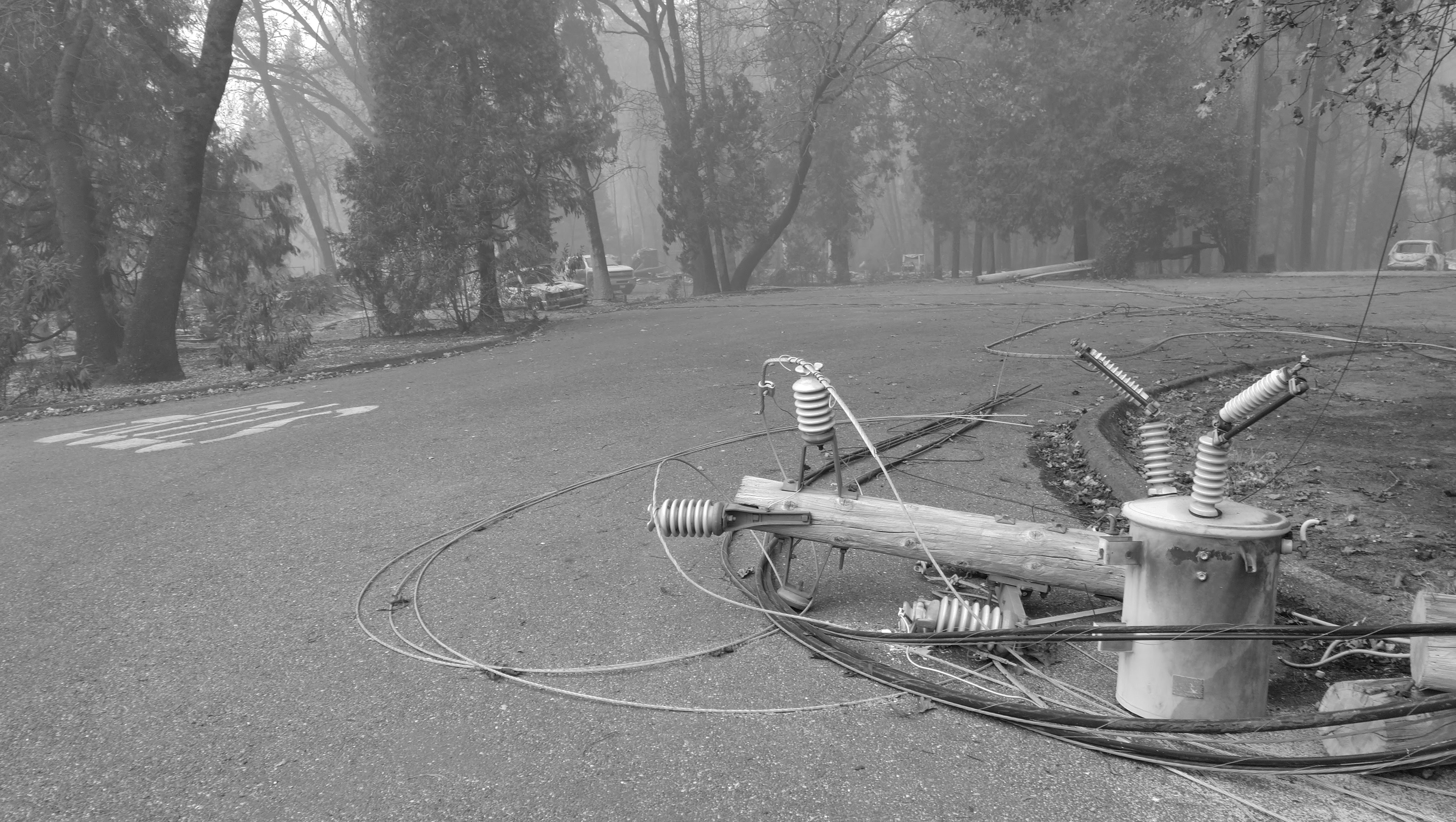 Help Tree and Line train tree workers to prevent fires photo