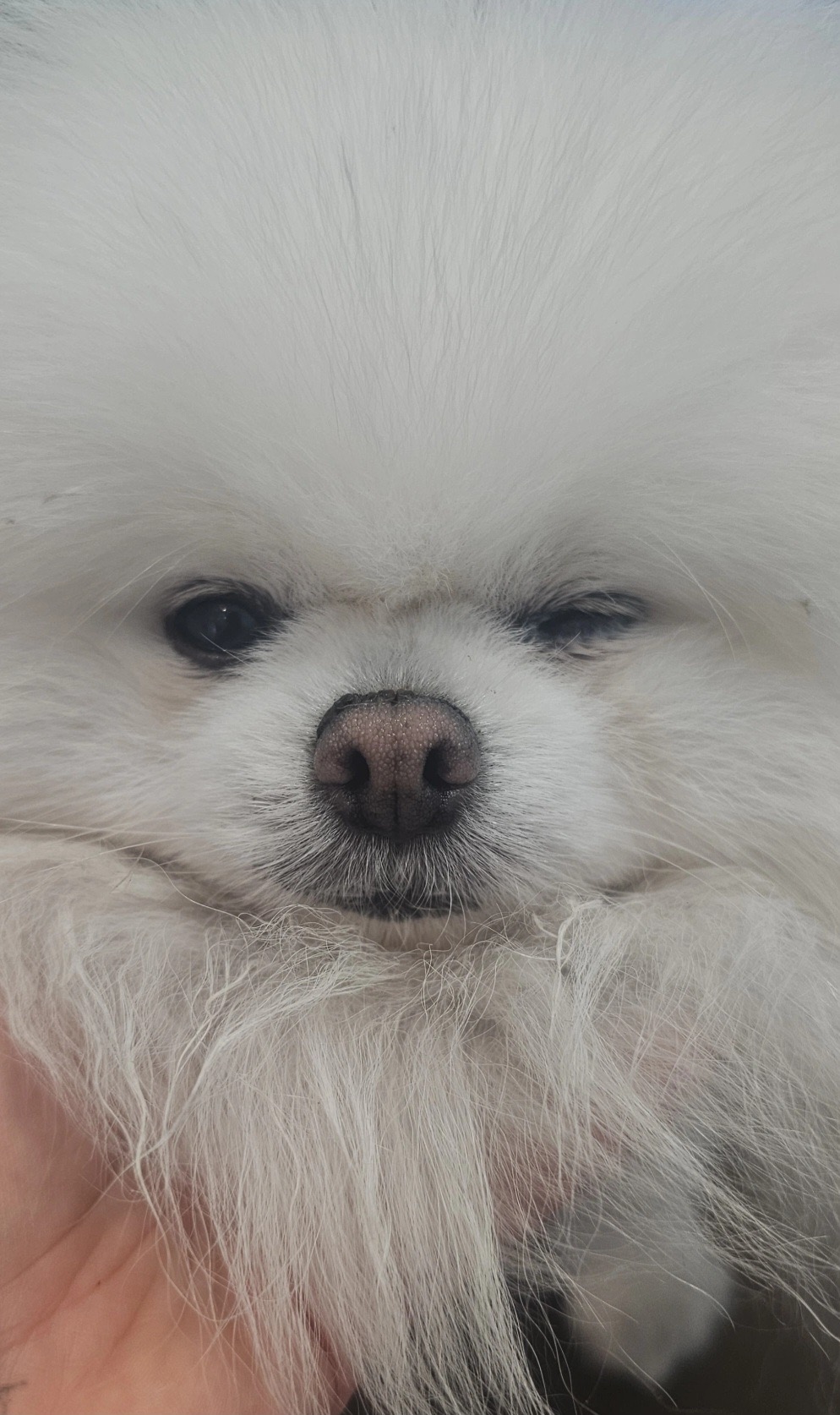 Pablo's Eye and Dental Surgery campaign photo, 5 of 7