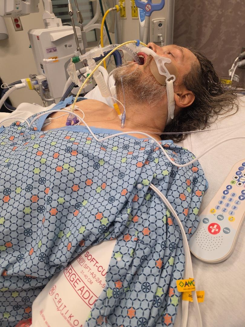 User-uploaded image 1