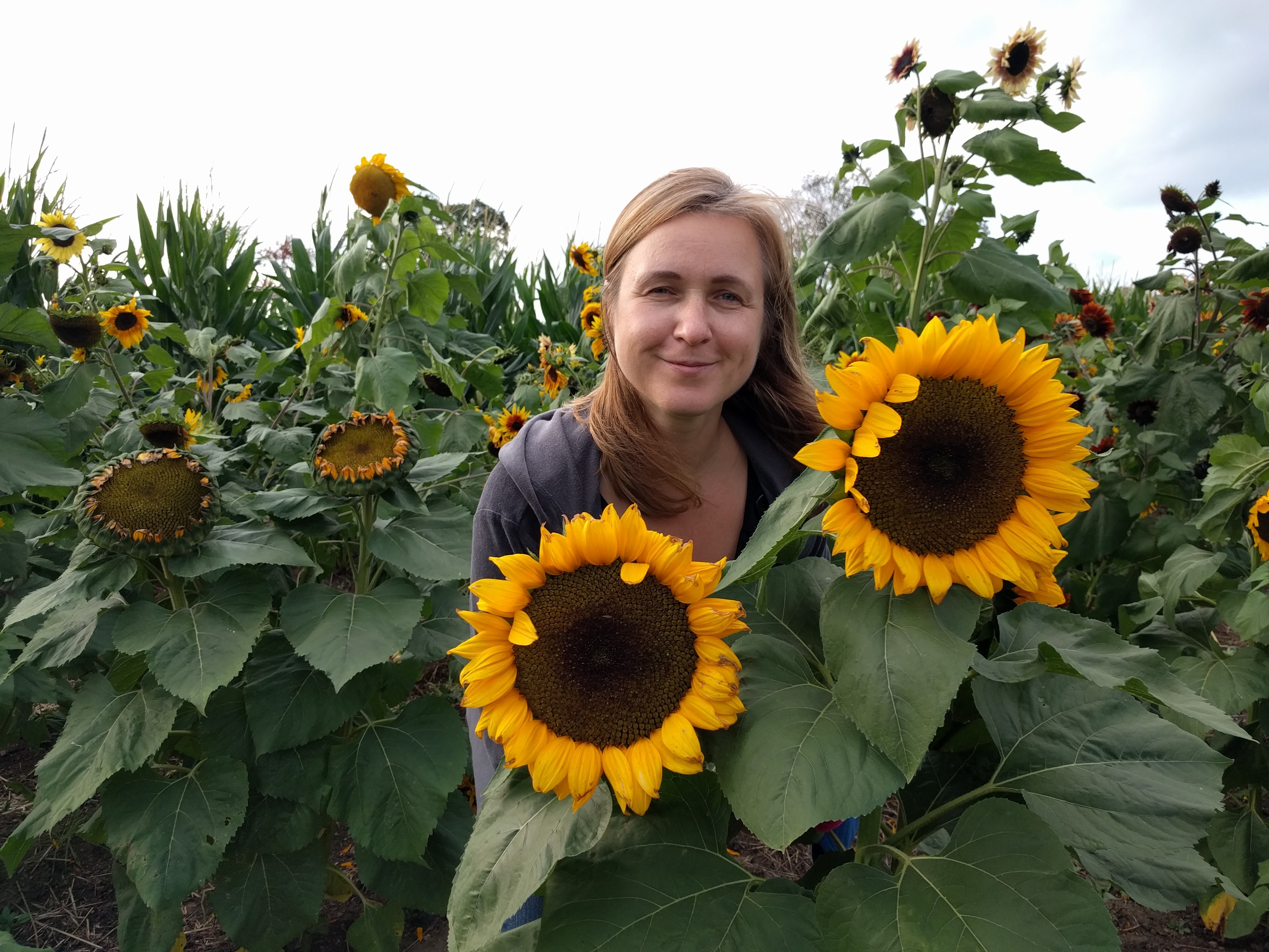 User-uploaded image 1