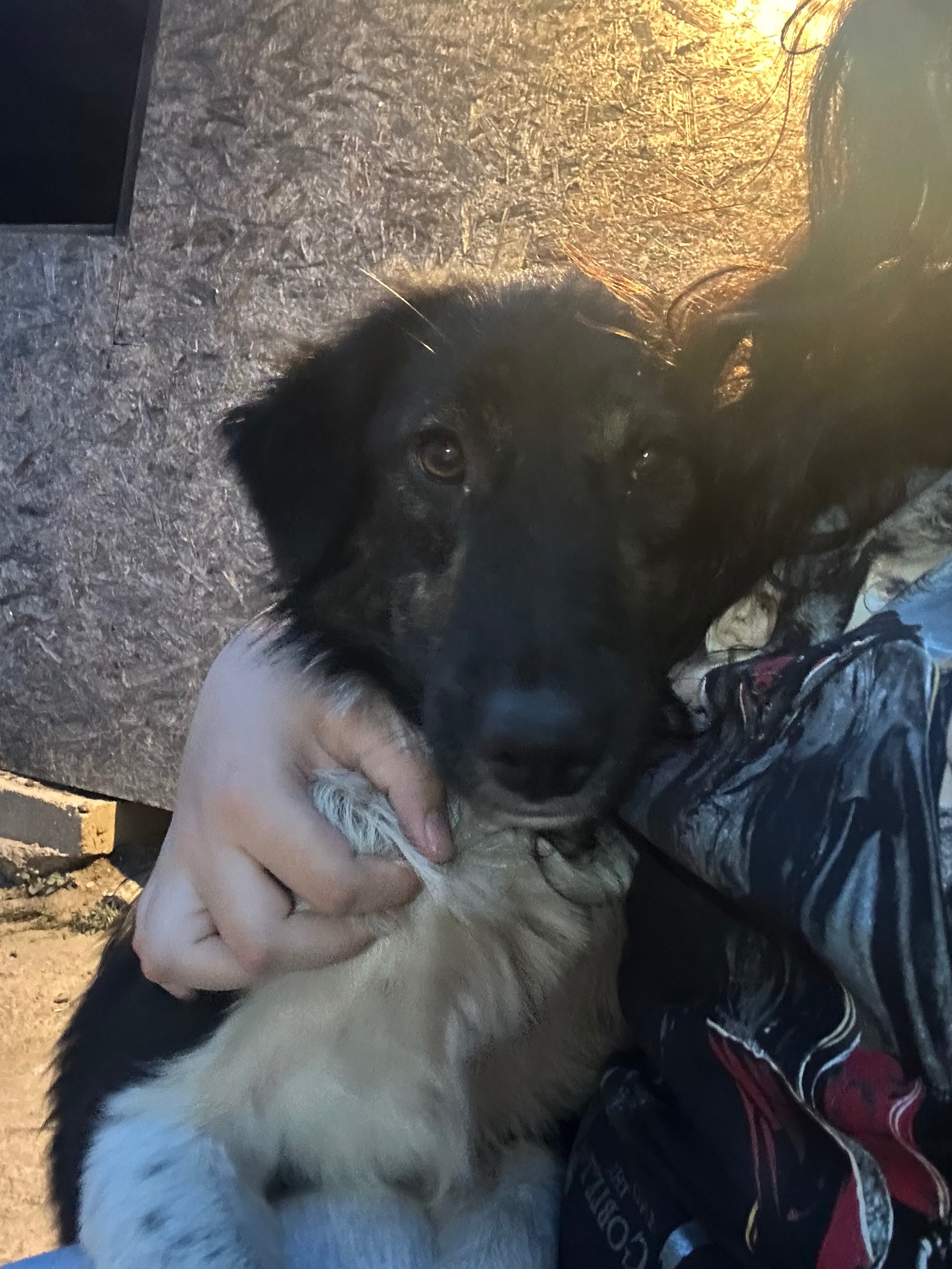 User-uploaded image 1