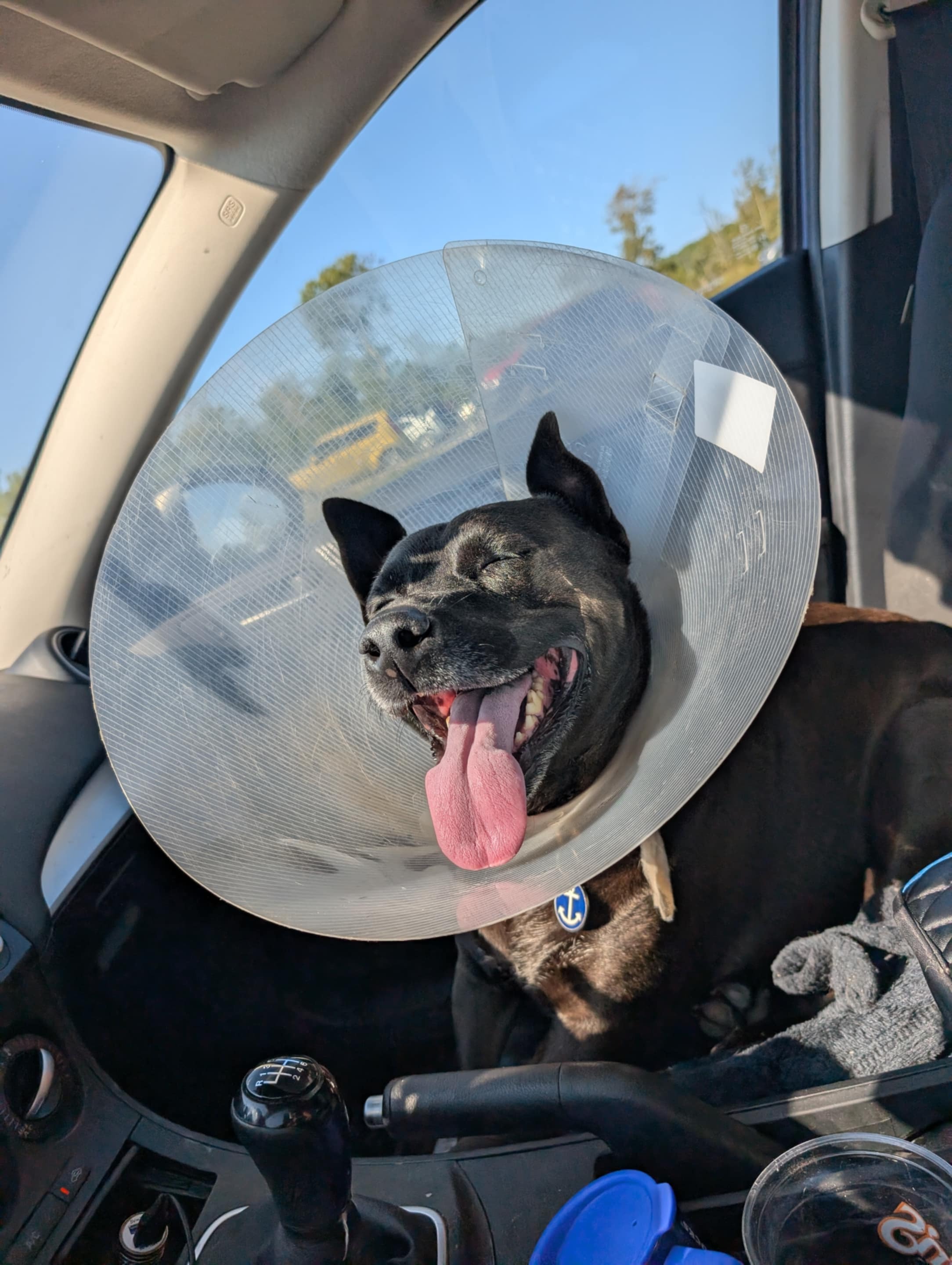 Expensive Surgery for Nova campaign photo, 6 of 8