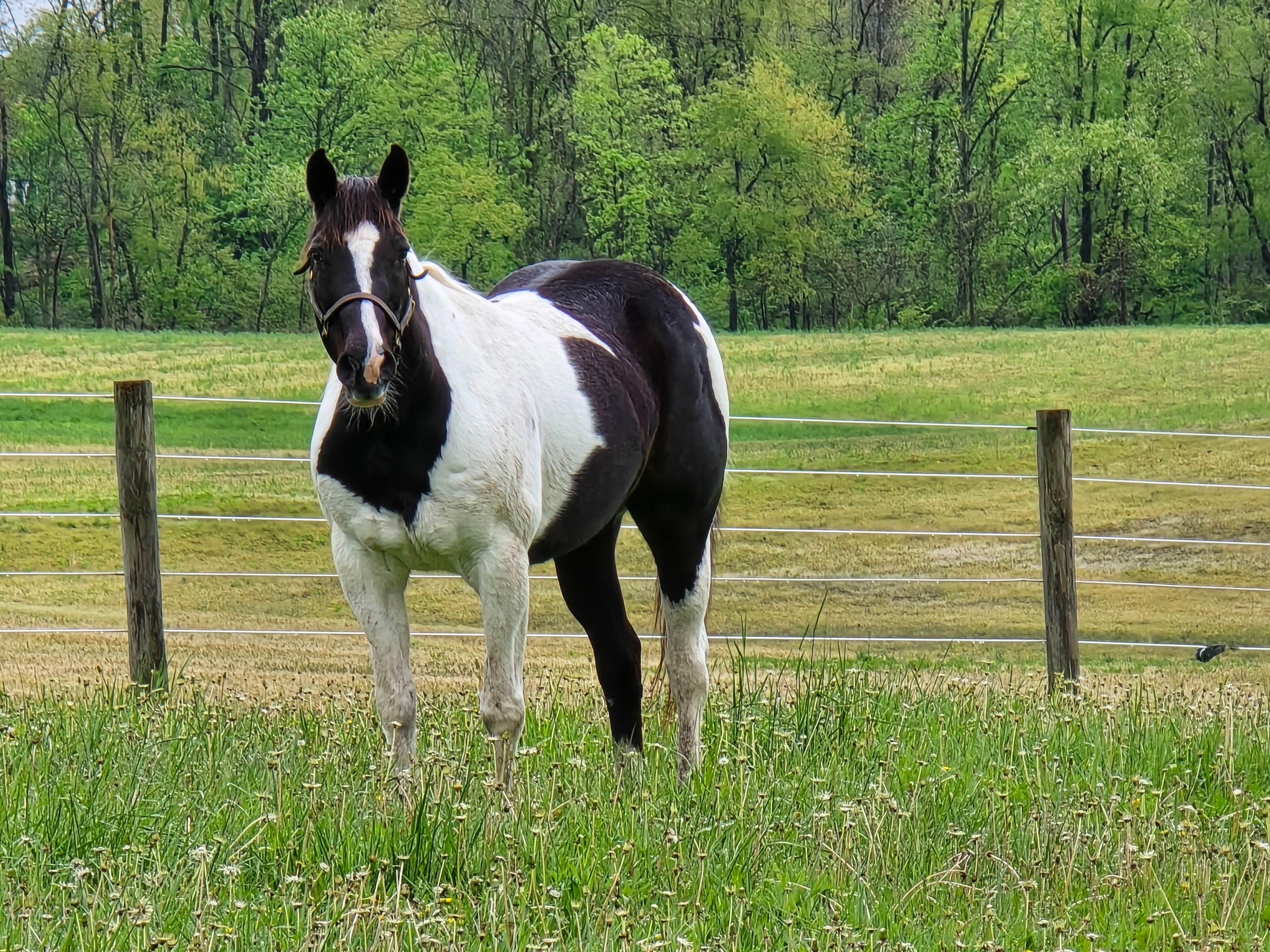 Help Dean Recover from Major Surgery campaign photo, 2 of 4