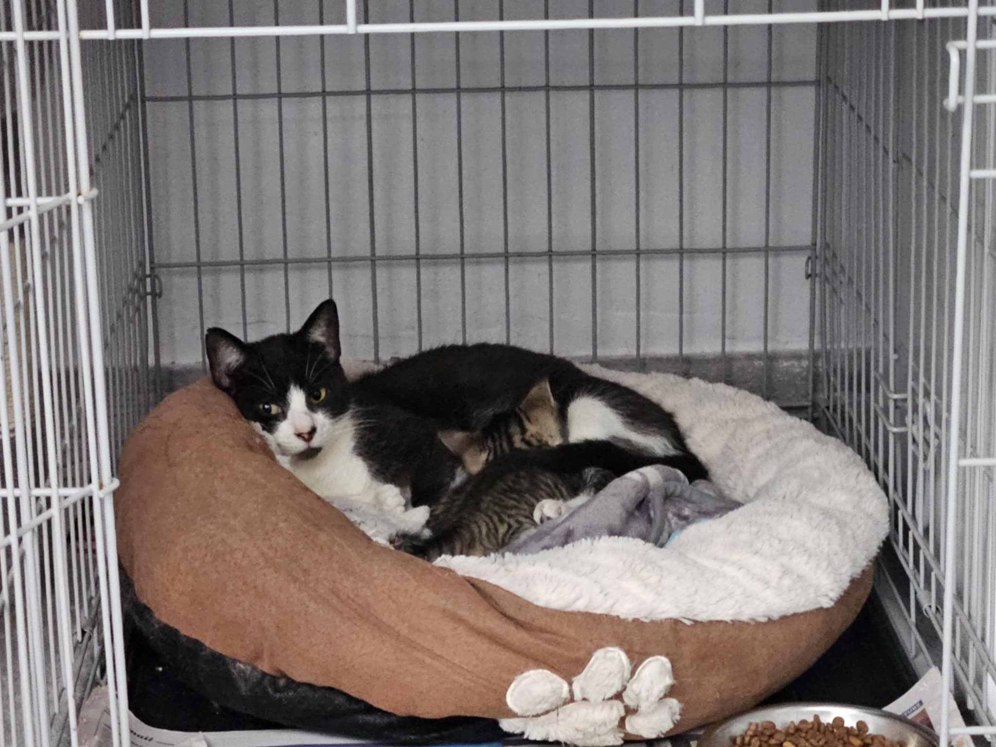 User-uploaded image 1