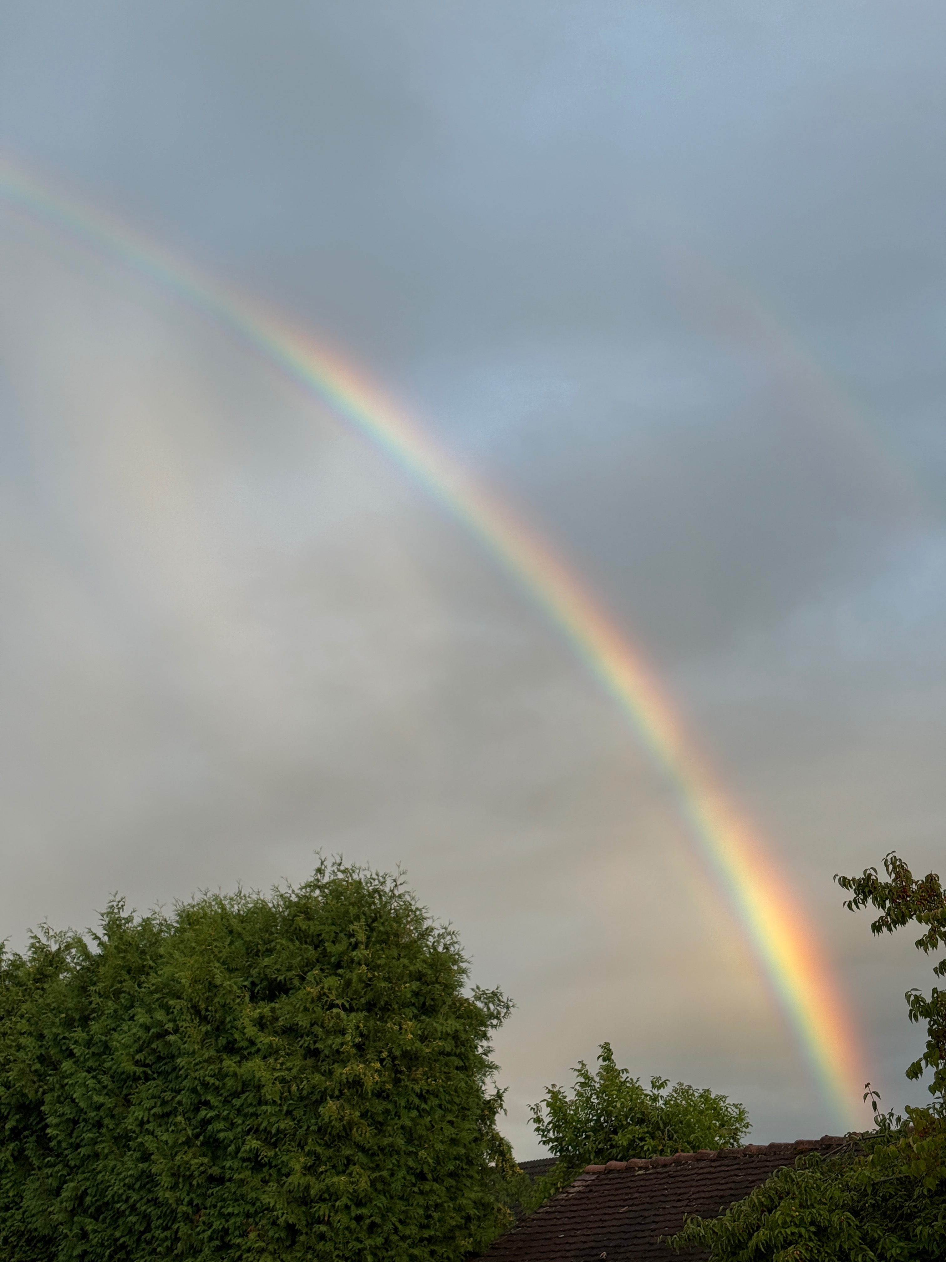 User-uploaded image 1