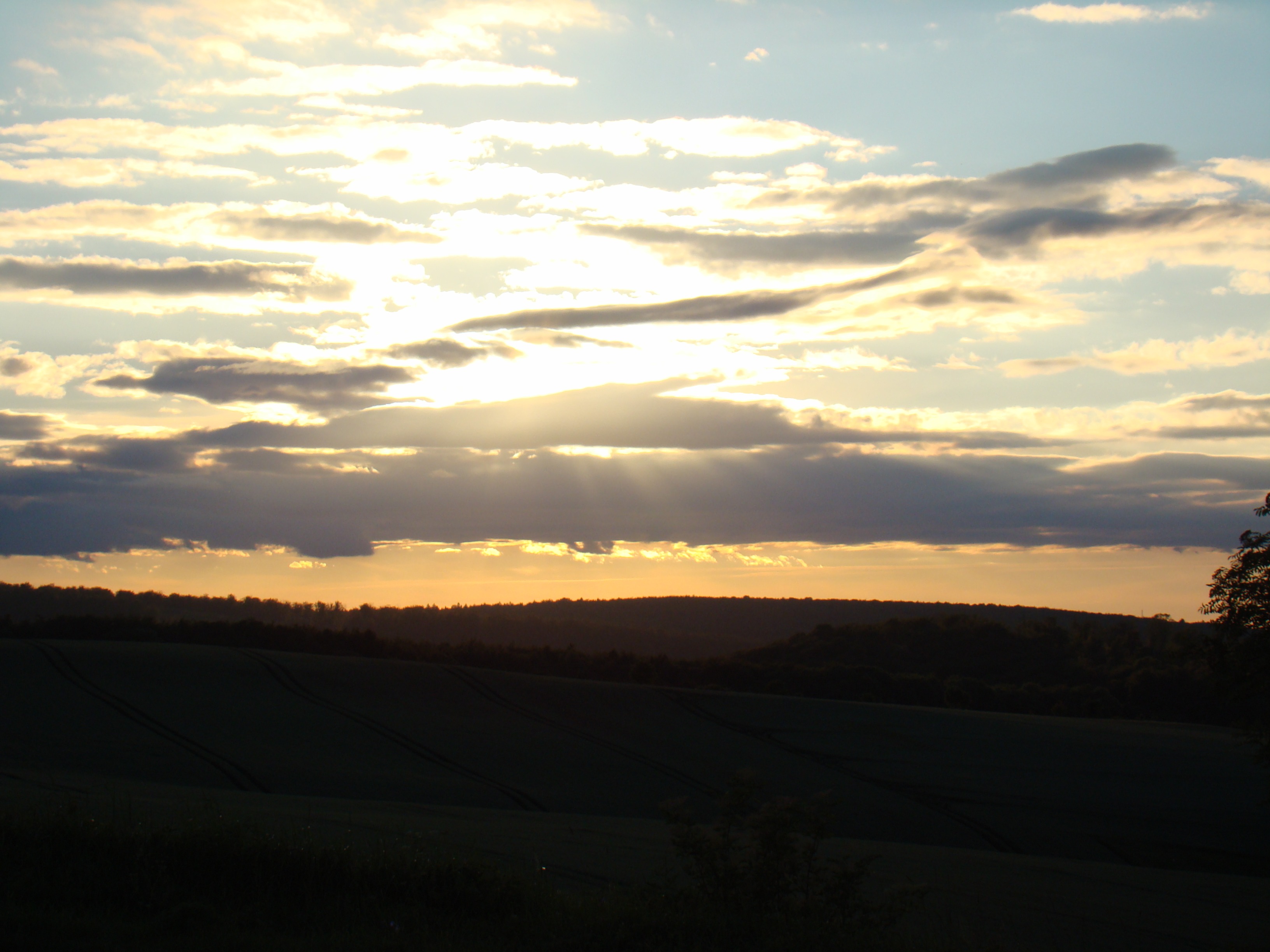 User-uploaded image 1