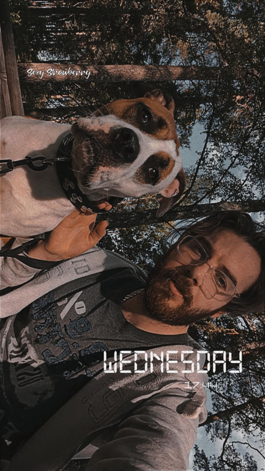 help get me and my dog back home to England campaign photo, 2 of 4