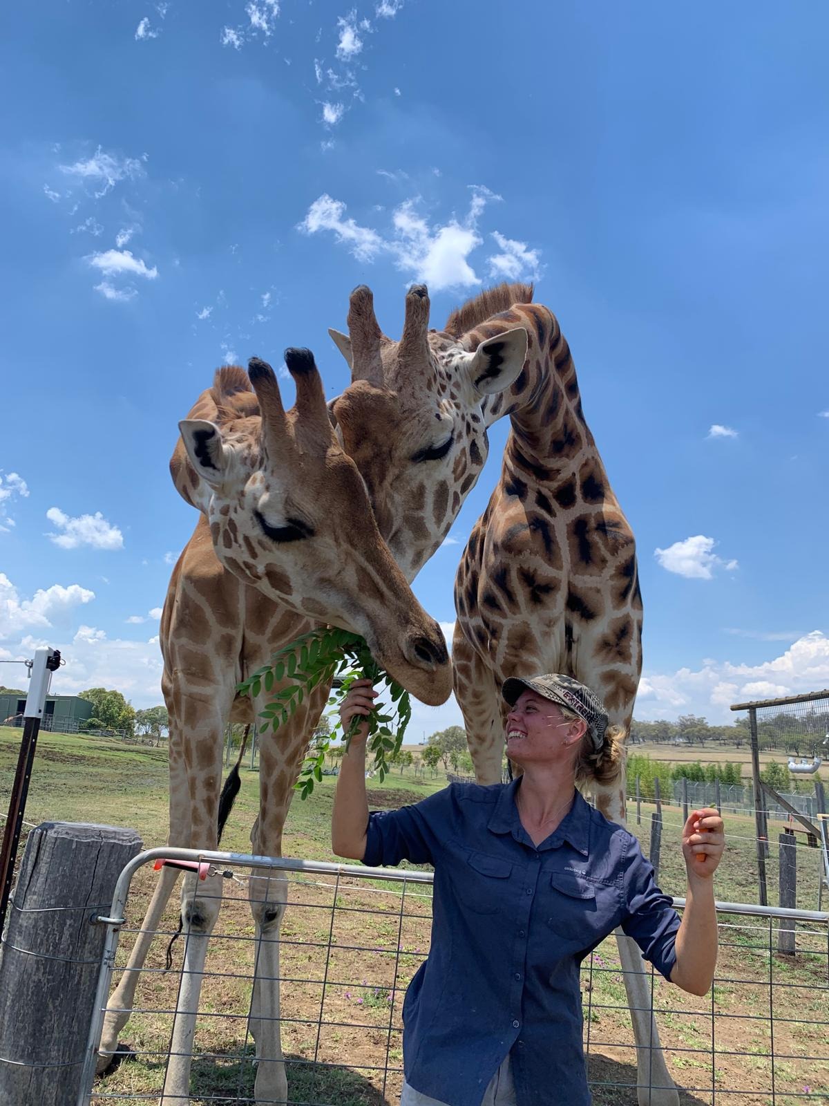 Help Jodie Make a Difference for Cheetahs! campaign photo, 2 of 8