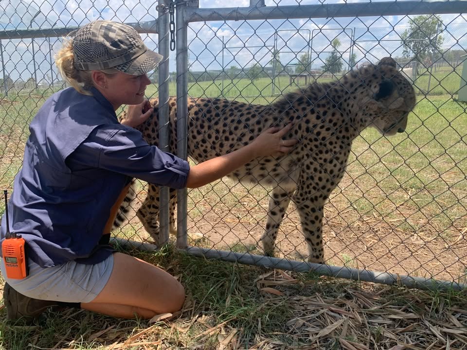 Help Jodie Make a Difference for Cheetahs! campaign photo, 4 of 8