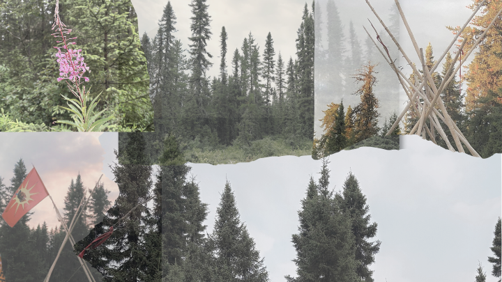 User-uploaded image 1