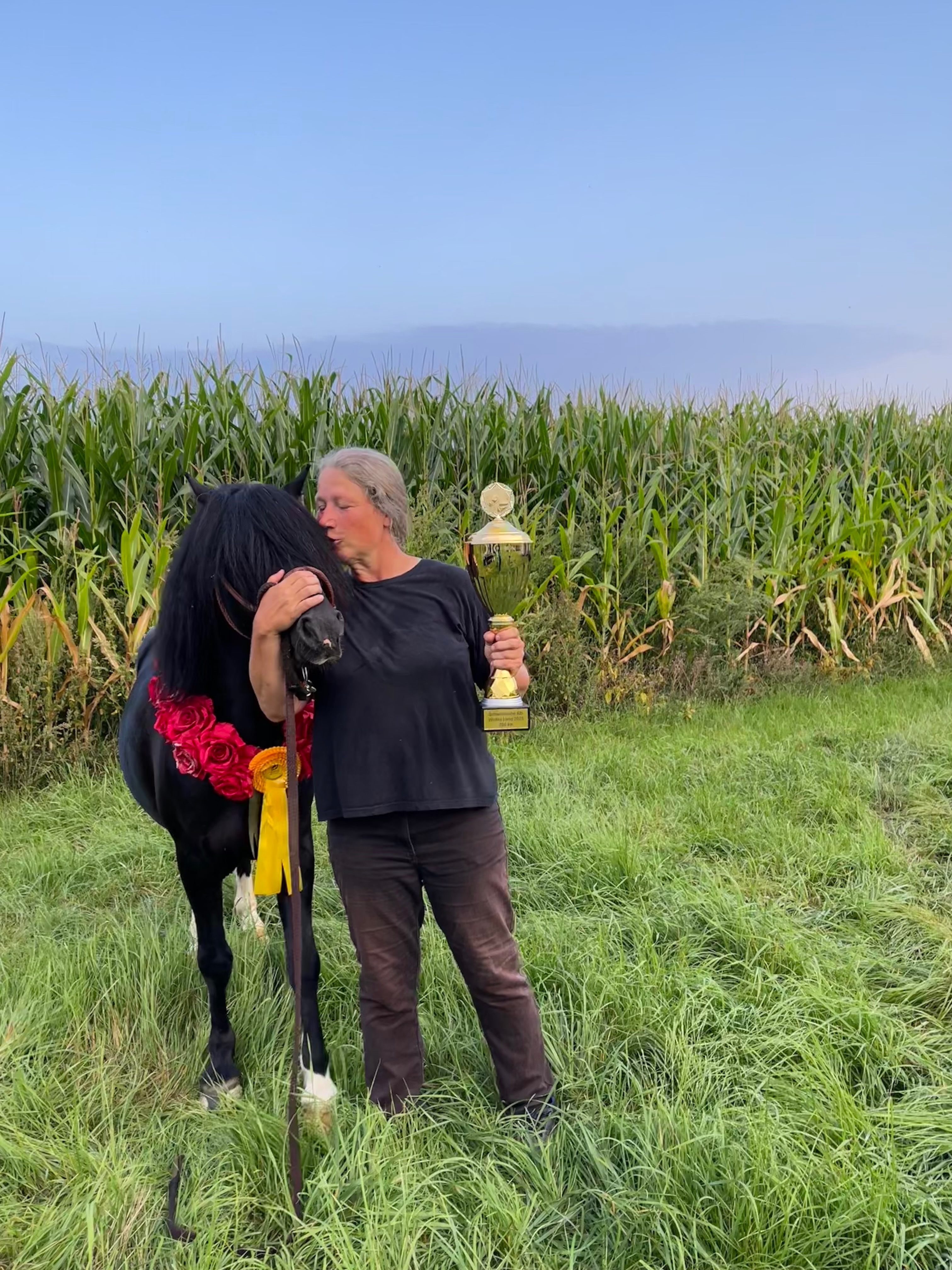 Aragon muss operiert werden! campaign photo, 5 of 6