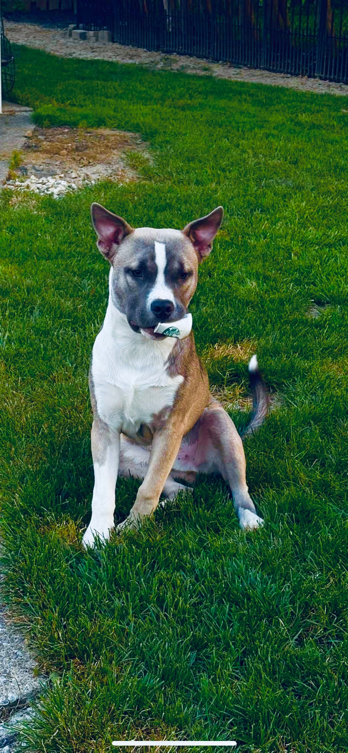 Blue’s end of life & cremation expenses campaign photo, 7 of 8