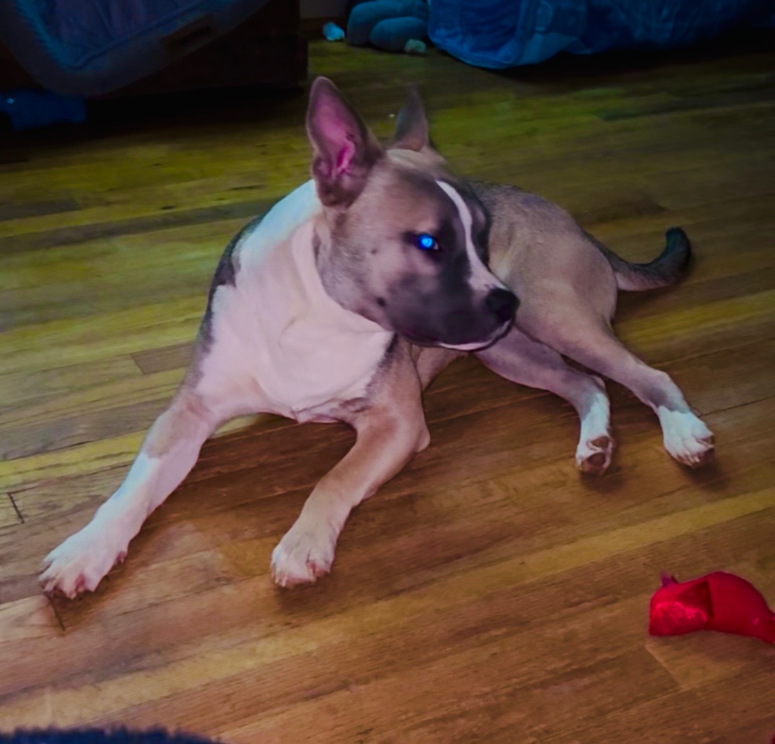 Blue’s end of life & cremation expenses campaign photo, 2 of 8