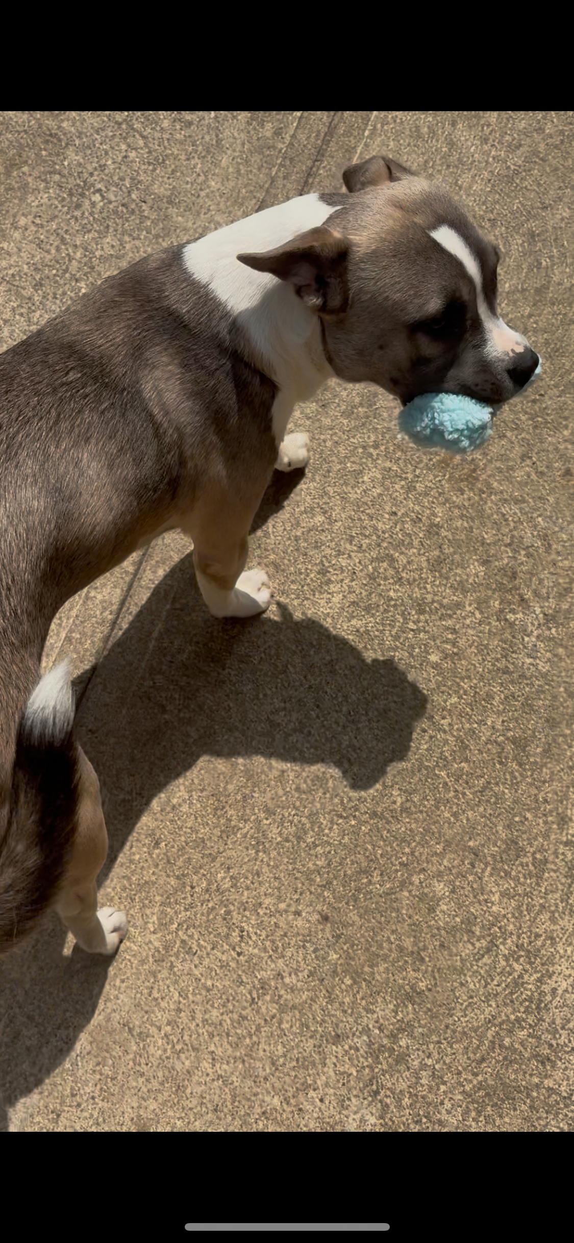 Blue’s end of life & cremation expenses campaign photo, 5 of 8