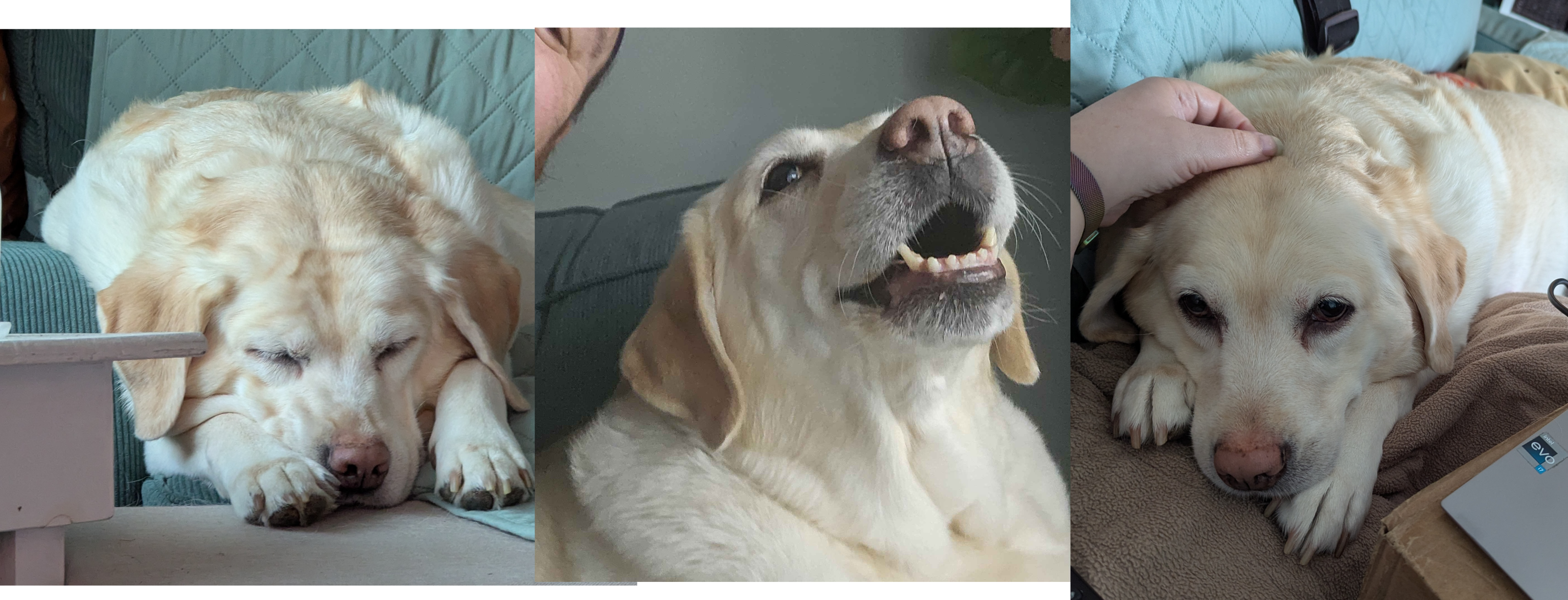 User-uploaded image 1