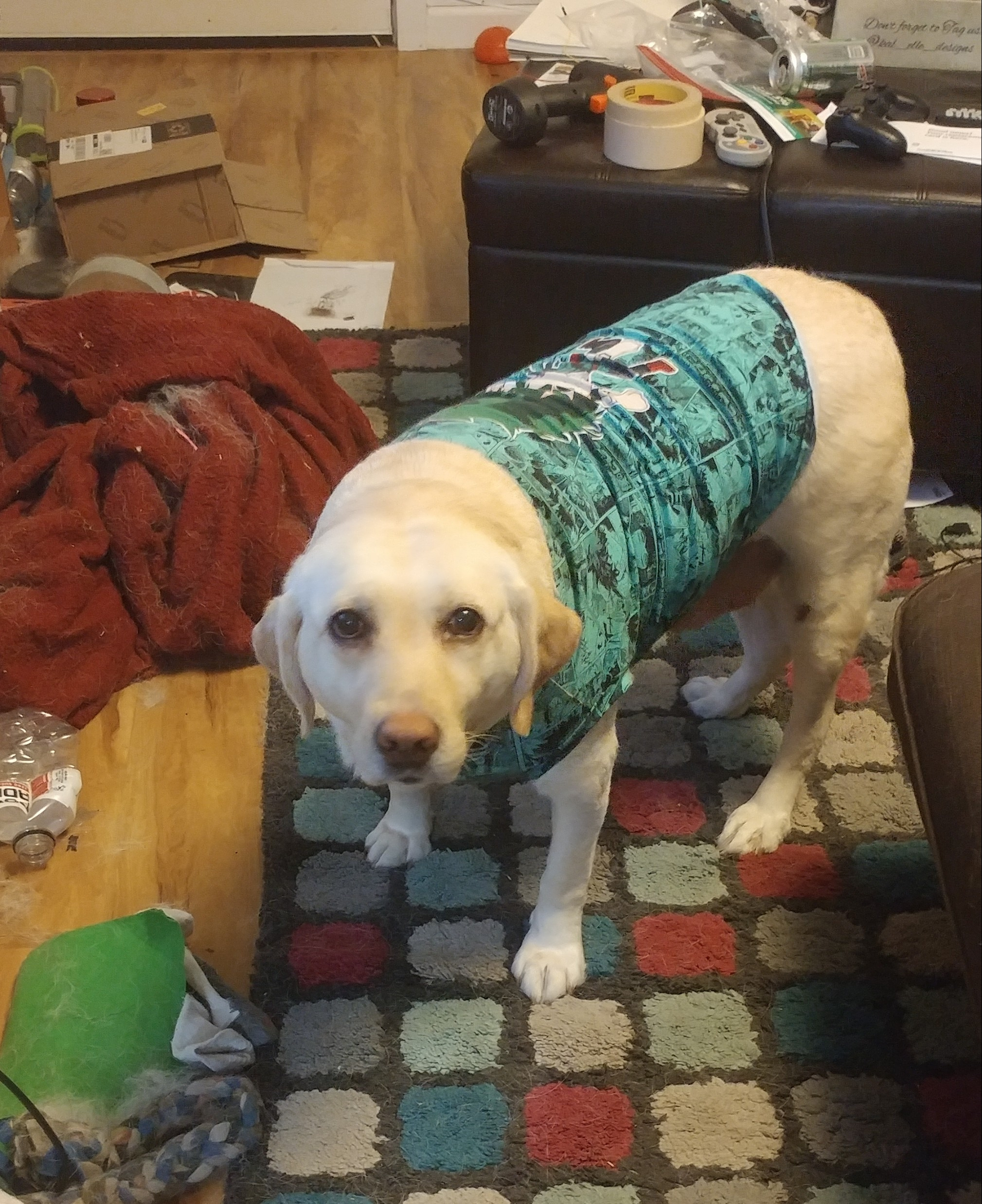 User-uploaded image 2