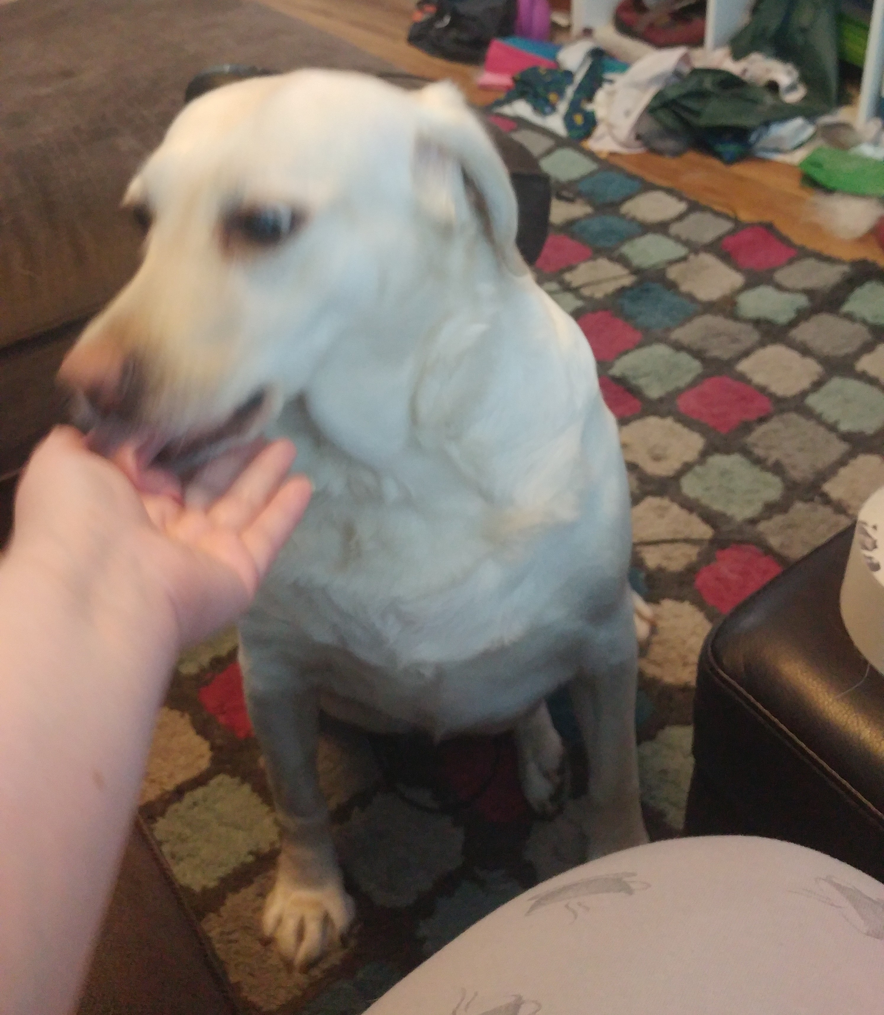 User-uploaded image 3