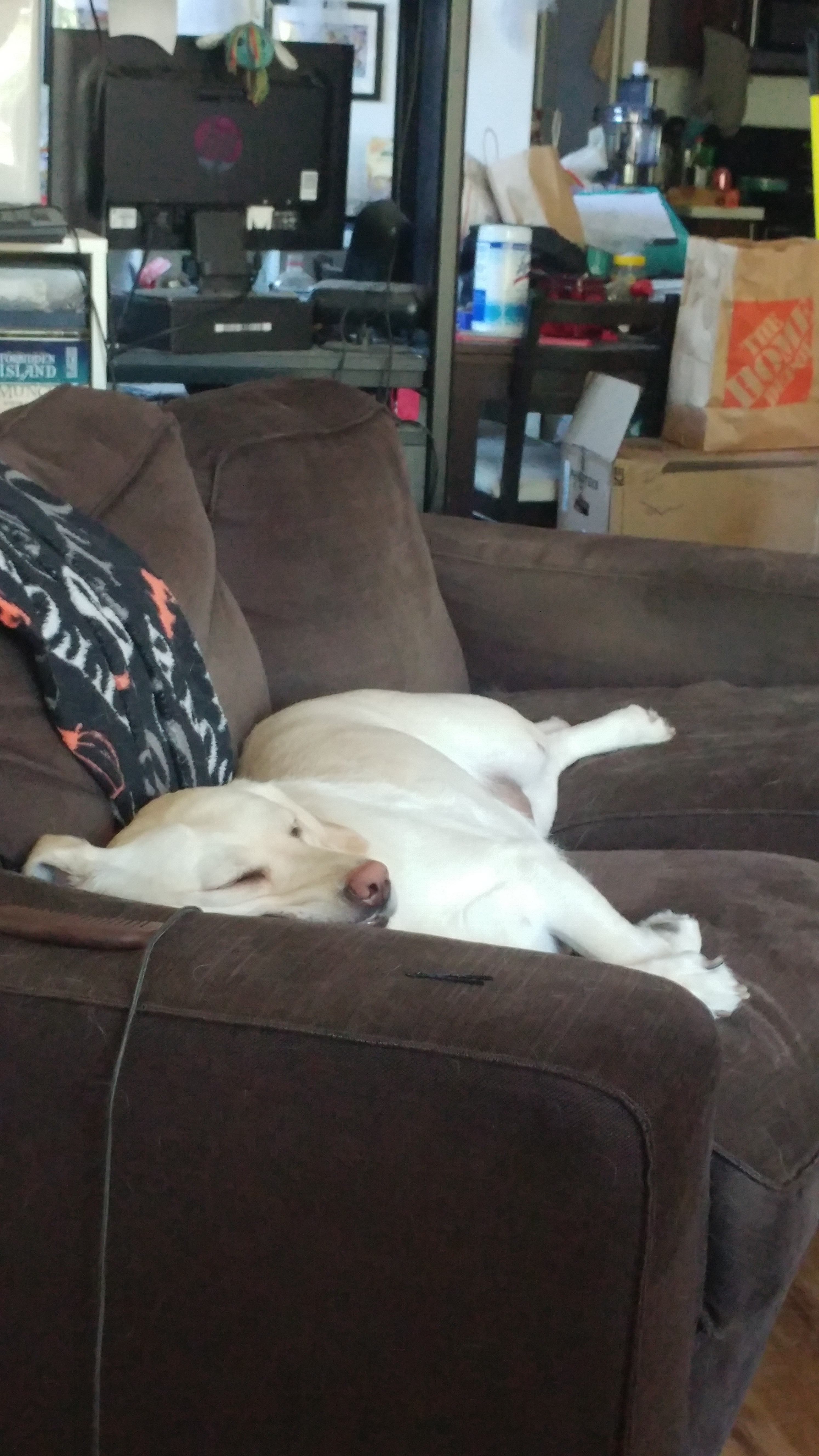 User-uploaded image 4