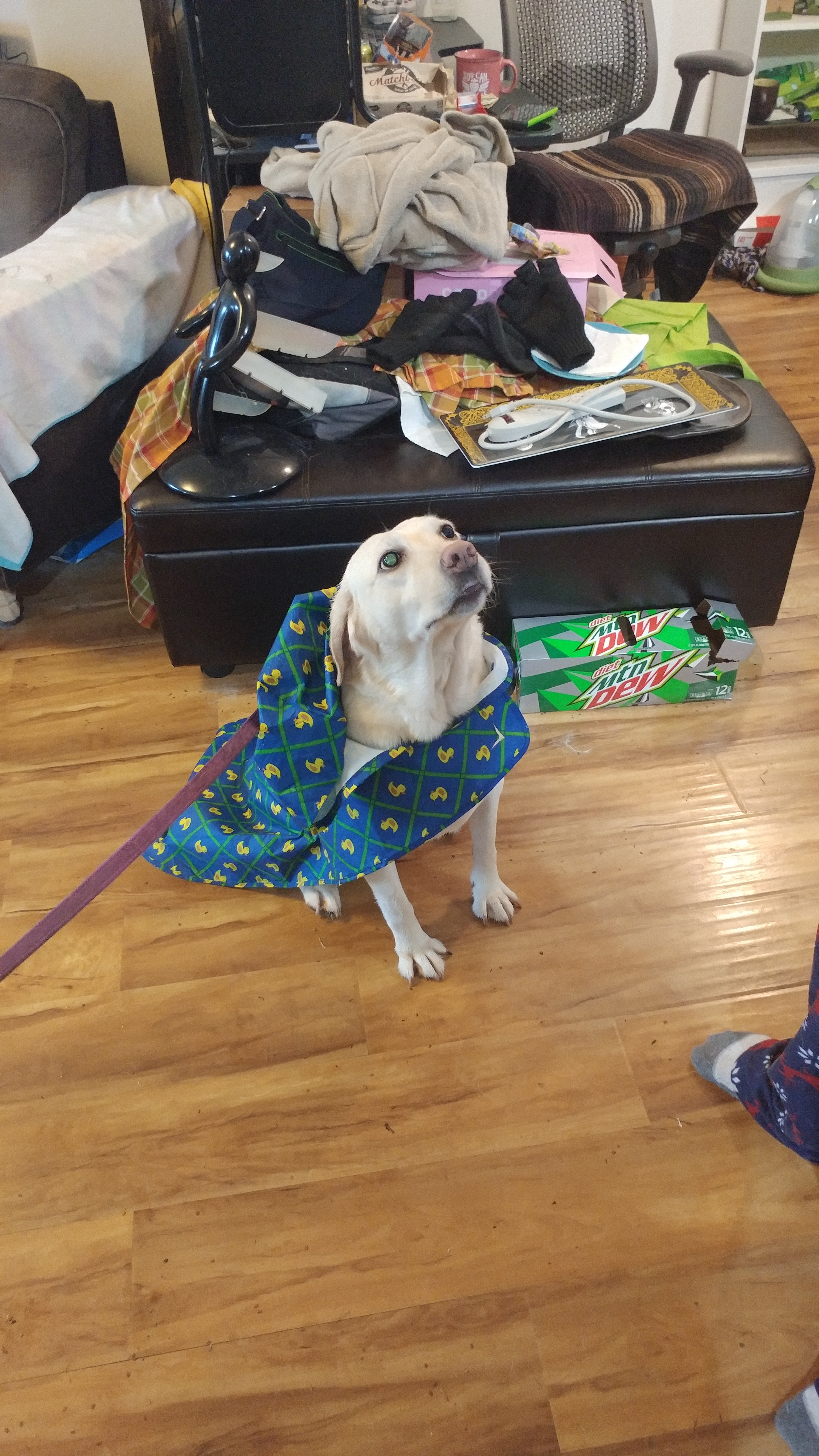 User-uploaded image 5