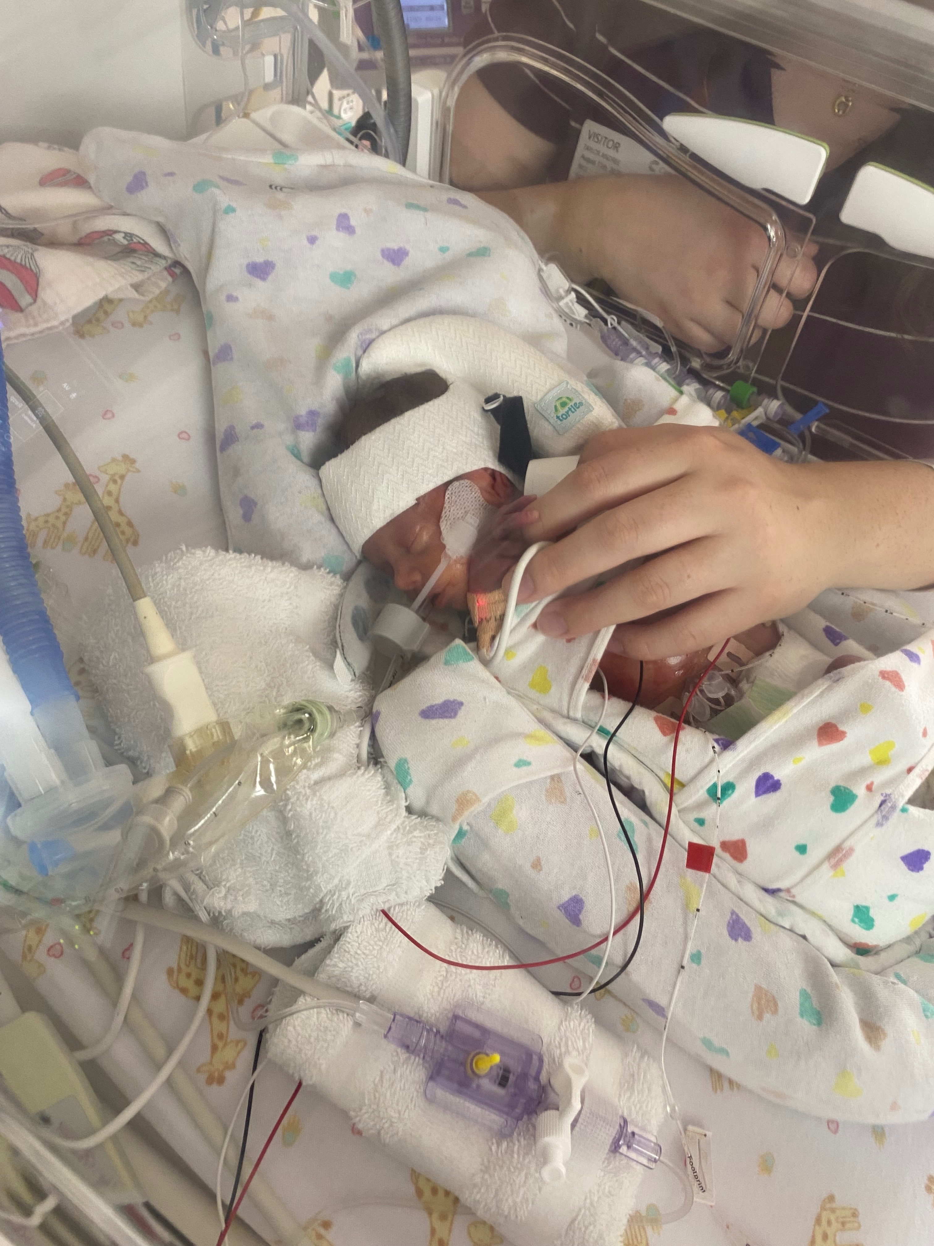 Support Baby Violet's NICU Journey campaign photo, 7 of 8