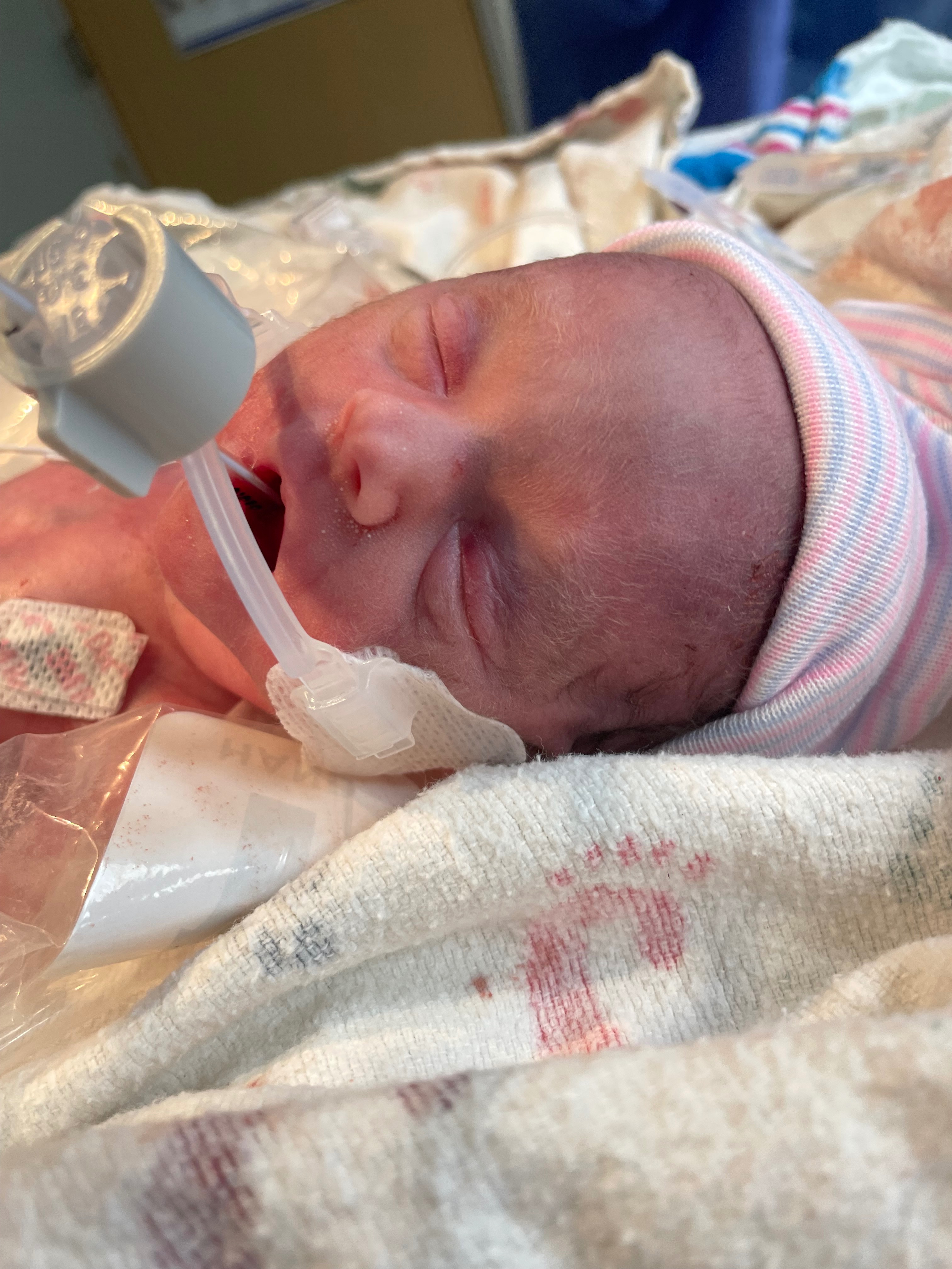 Support Baby Violet's NICU Journey campaign photo, 6 of 8
