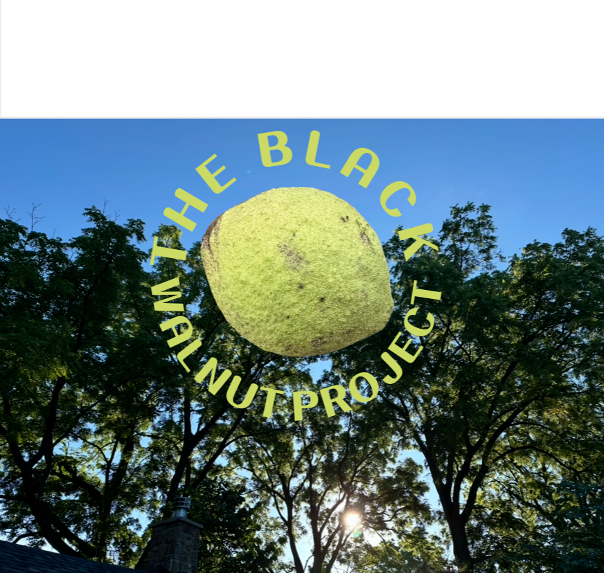 Help Save My Town's Valuable Food Resource campaign photo, 7 of 7