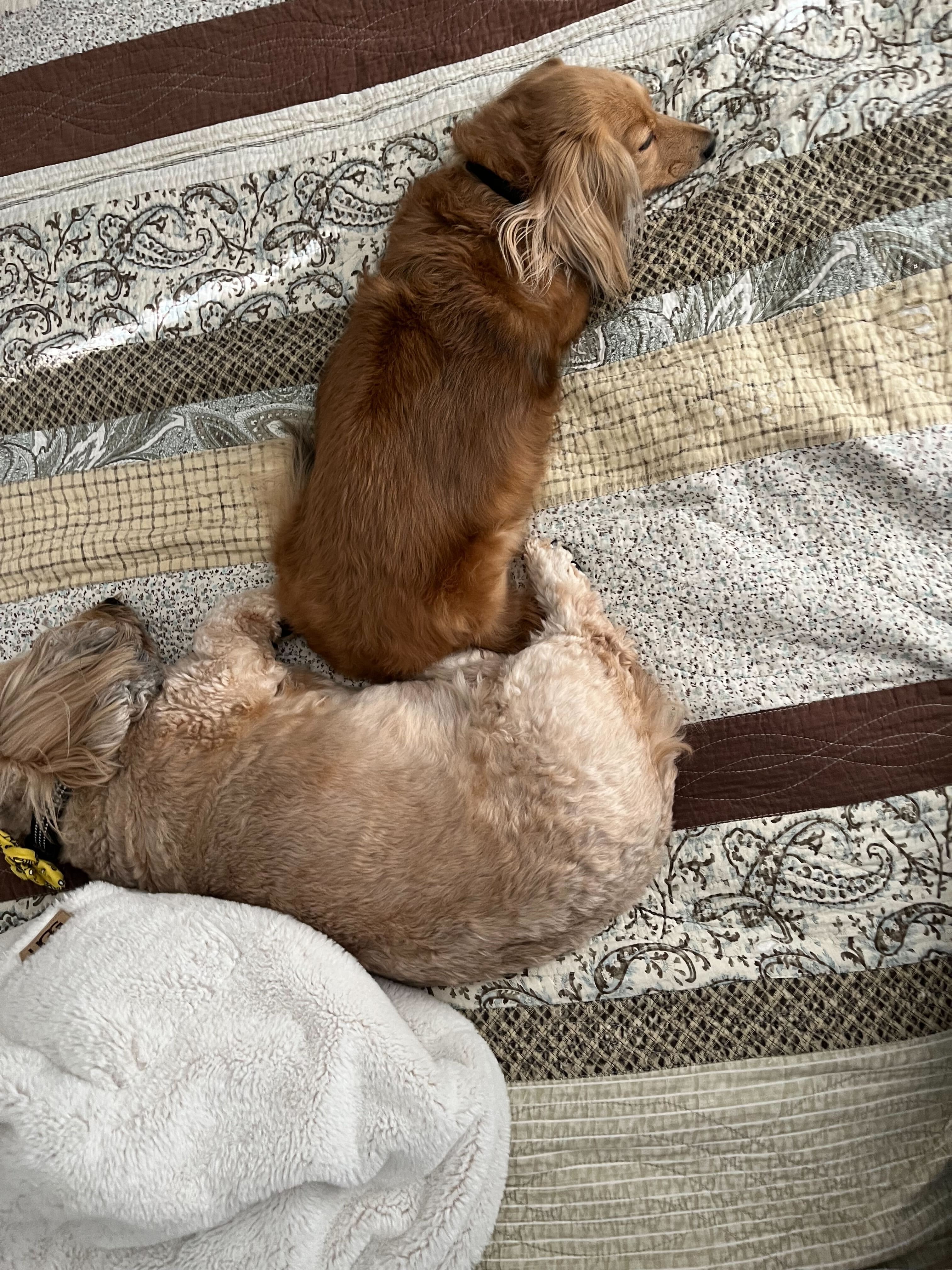 We've got her back!! Support Busy’s Urgent Surgery Journey campaign photo, 4 of 8