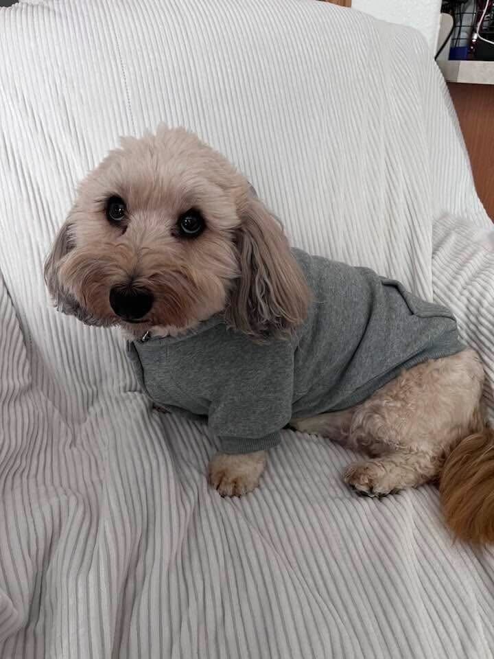 We've got her back!! Support Busy’s Urgent Surgery Journey campaign photo, 6 of 8