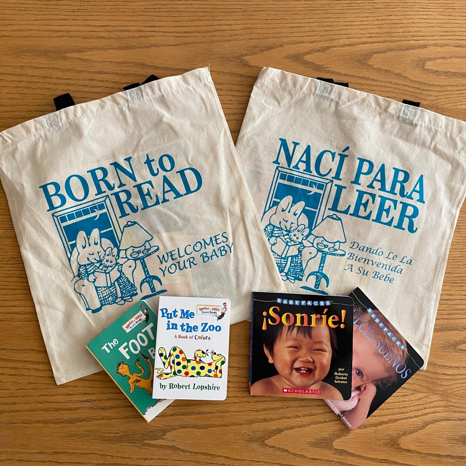 Support Born to Read's Literacy Mission campaign photo, 2 of 4