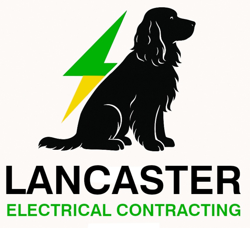 User-uploaded image 1