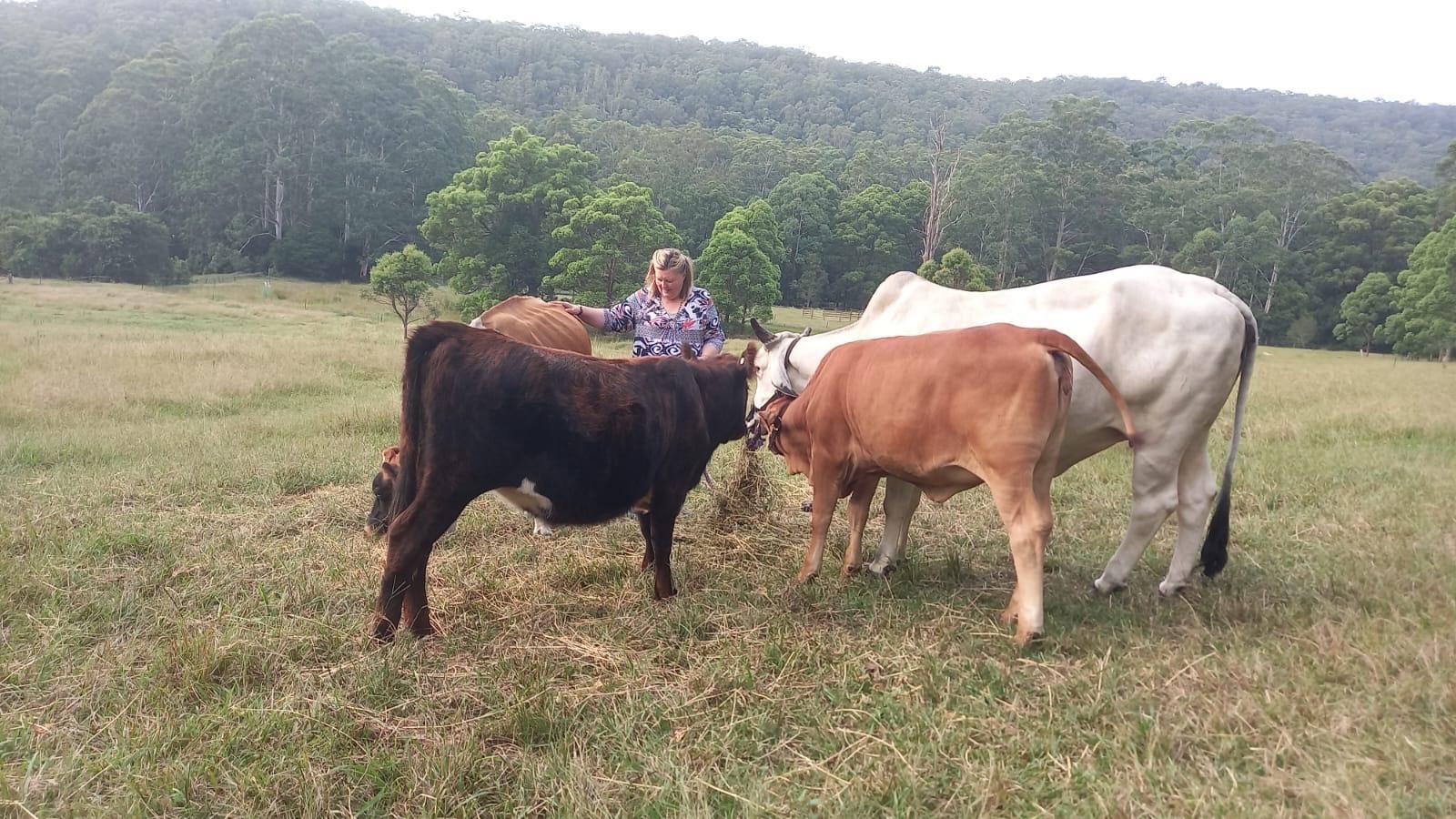 Help Create a Home for Gho Mata & Sacred Teachings campaign photo, 6 of 8