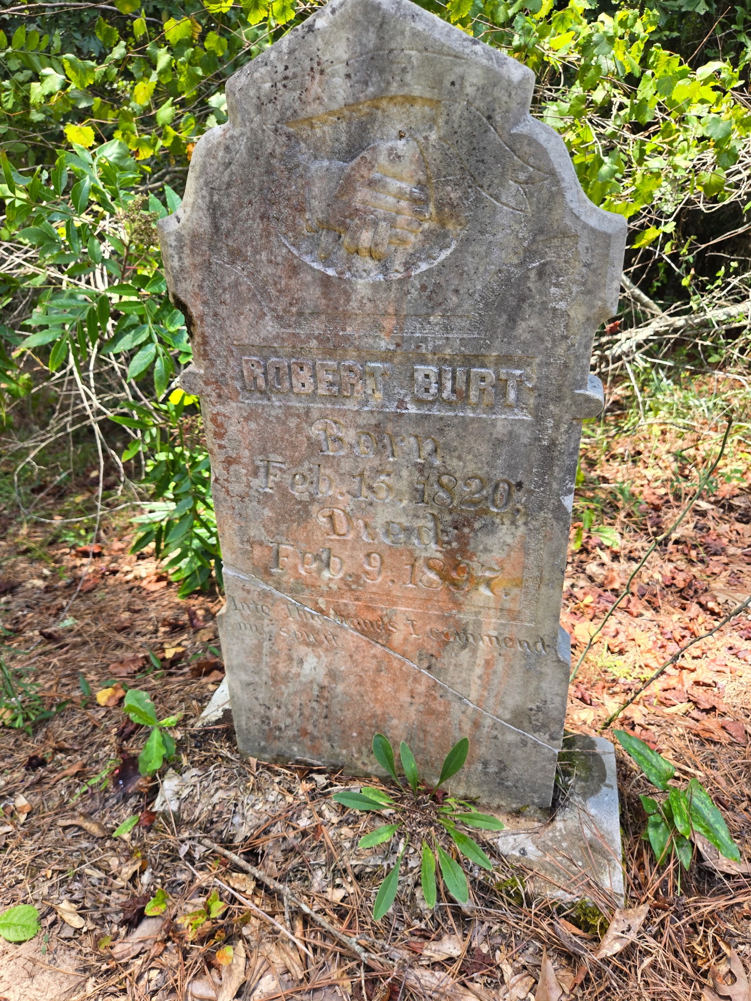 Bullock Cemetery Upkeep (Burt Family Cemetery in Kosciusko) campaign photo, 7 of 8