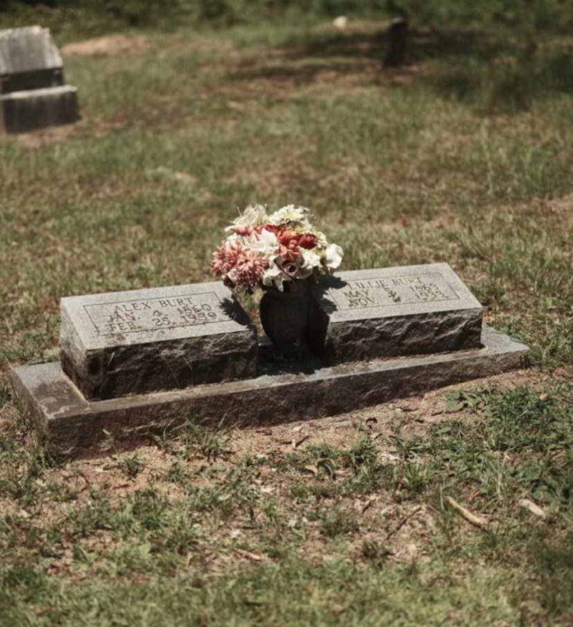 Bullock Cemetery Upkeep (Burt Family Cemetery in Kosciusko) campaign photo, 6 of 8