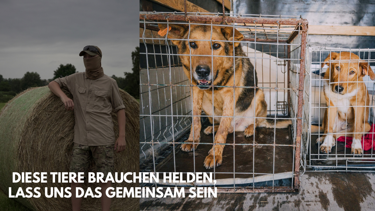 Mit eurer Hilfe rette ich Tiere und erstelle Content. campaign photo, 2 of 4