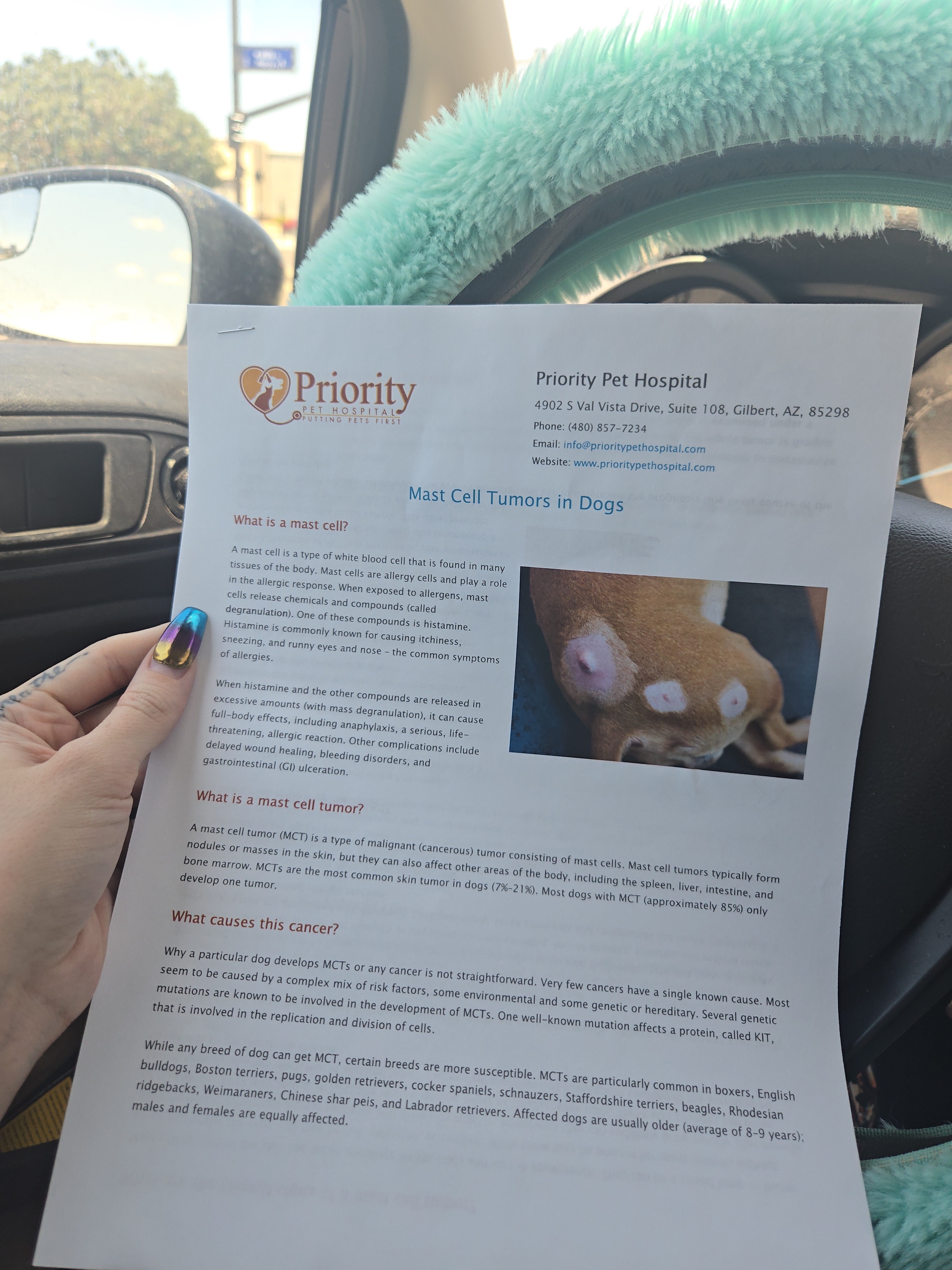 Help Luna Beat Cancer: Full Vulvaectomy Needed. campaign photo, 5 of 8
