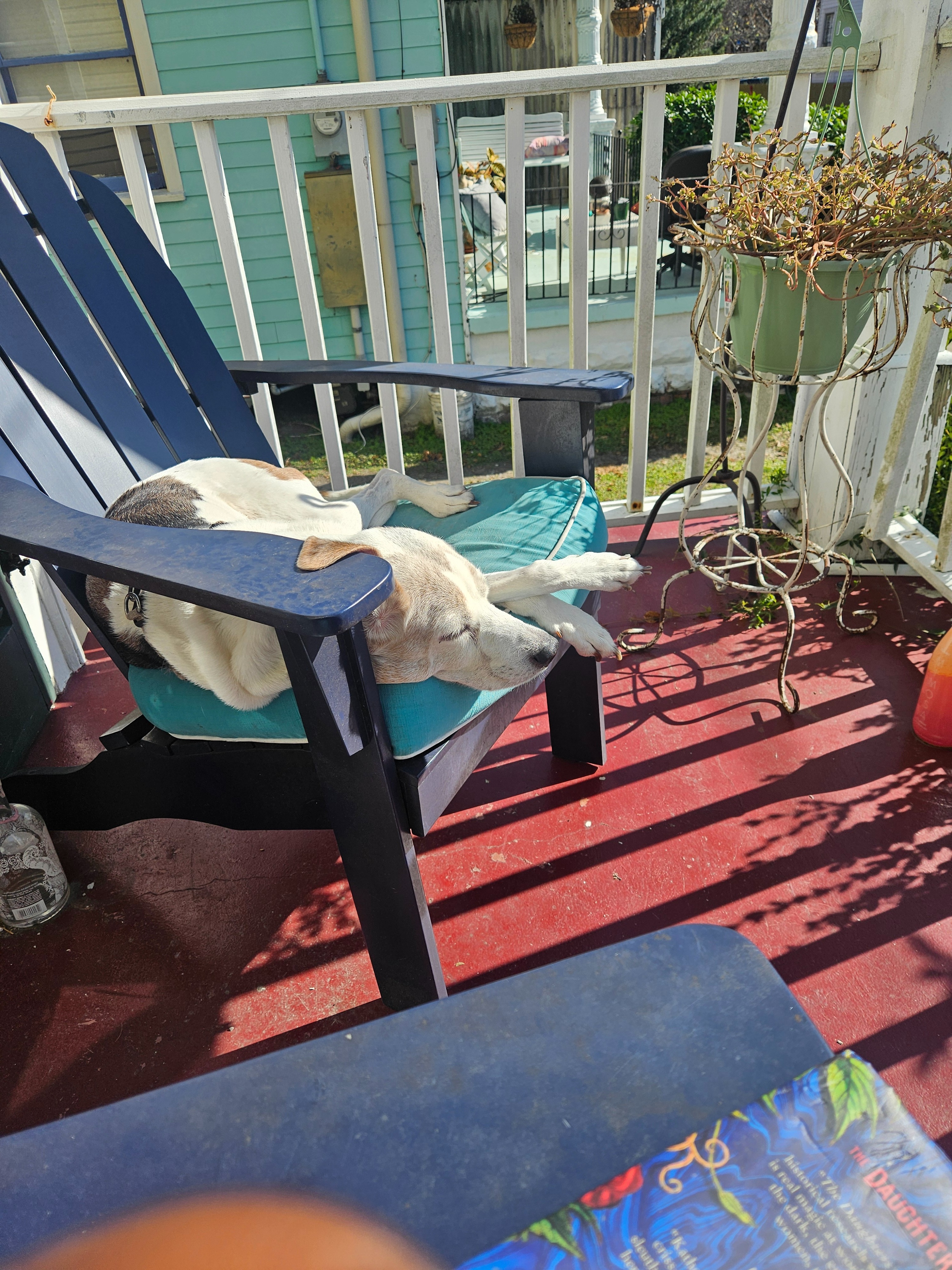 Urgent Help Needed for Peggy's Mortgage Crisis campaign photo, 2 of 6