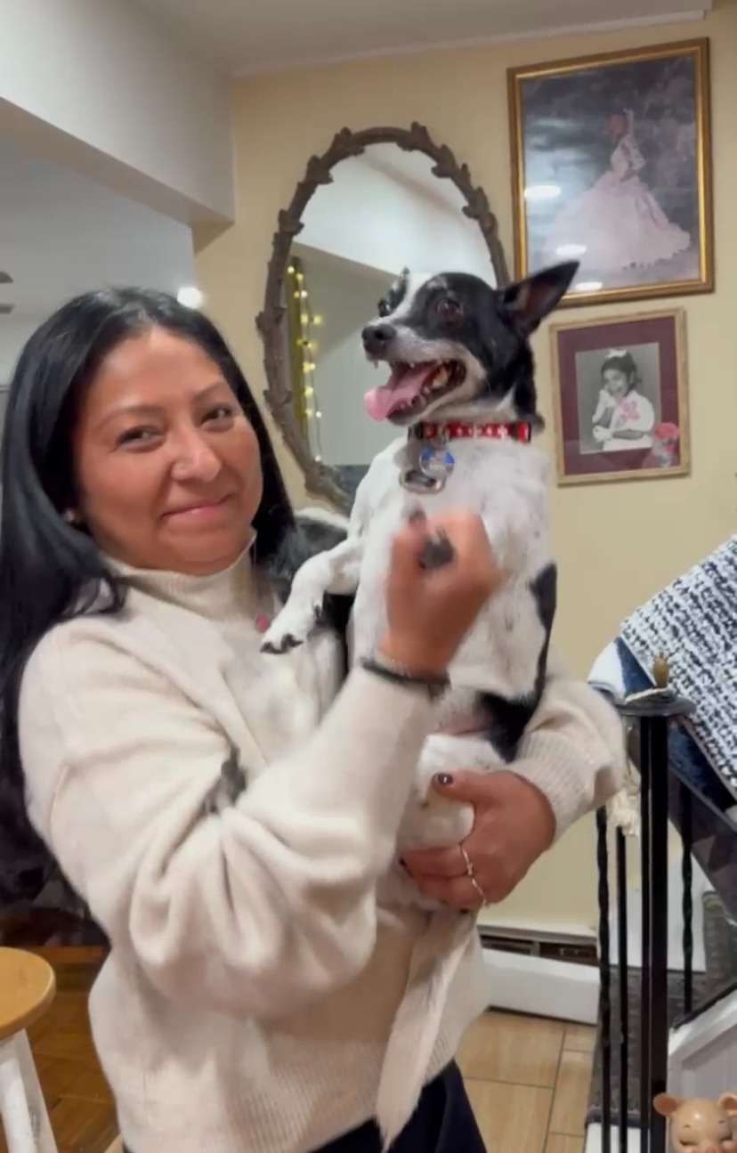 Supporting my sister with vet bills for Rocky campaign photo, 5 of 8