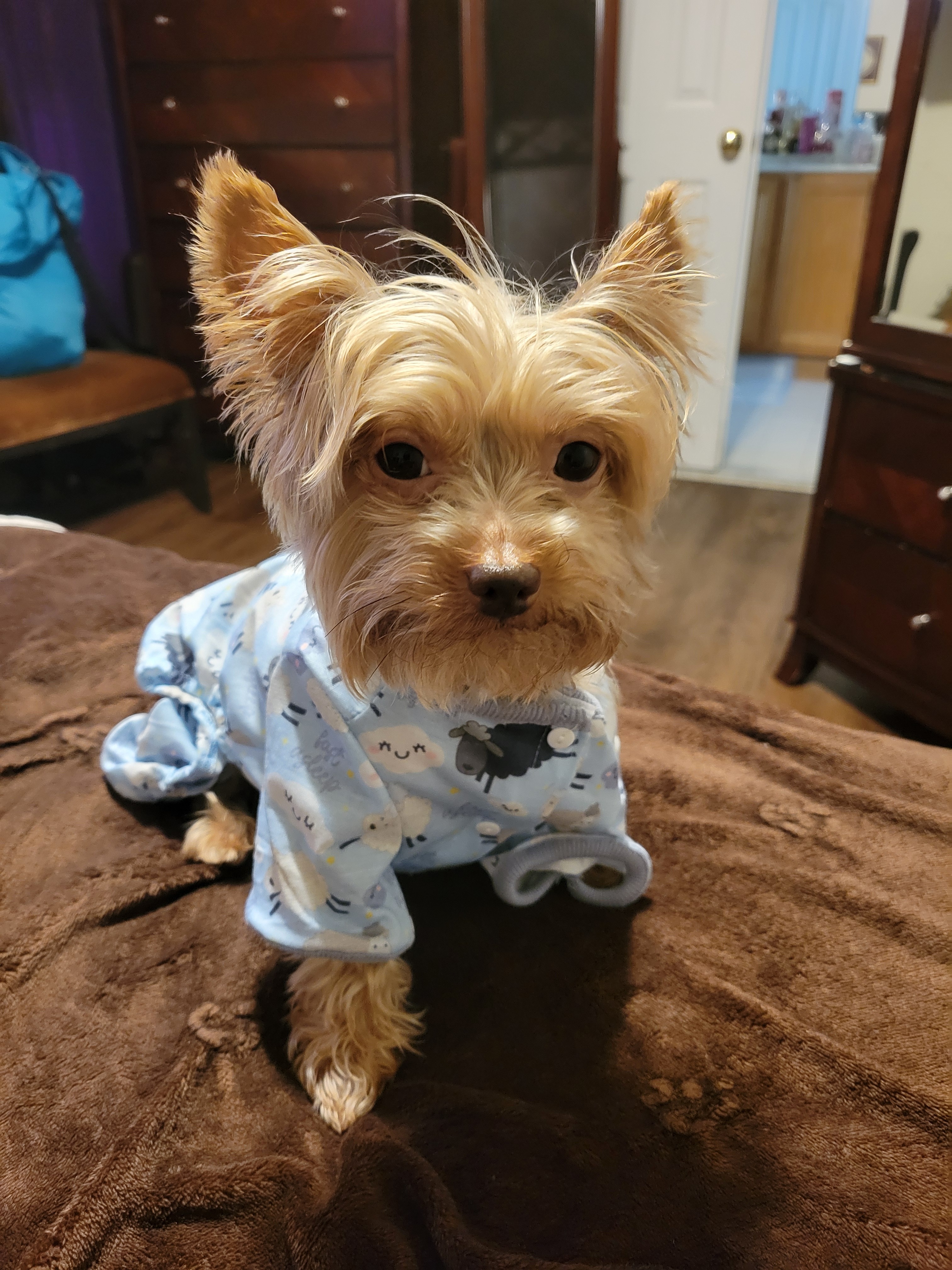 Help Twix Get Urgent Dental Surgery campaign photo, 5 of 7