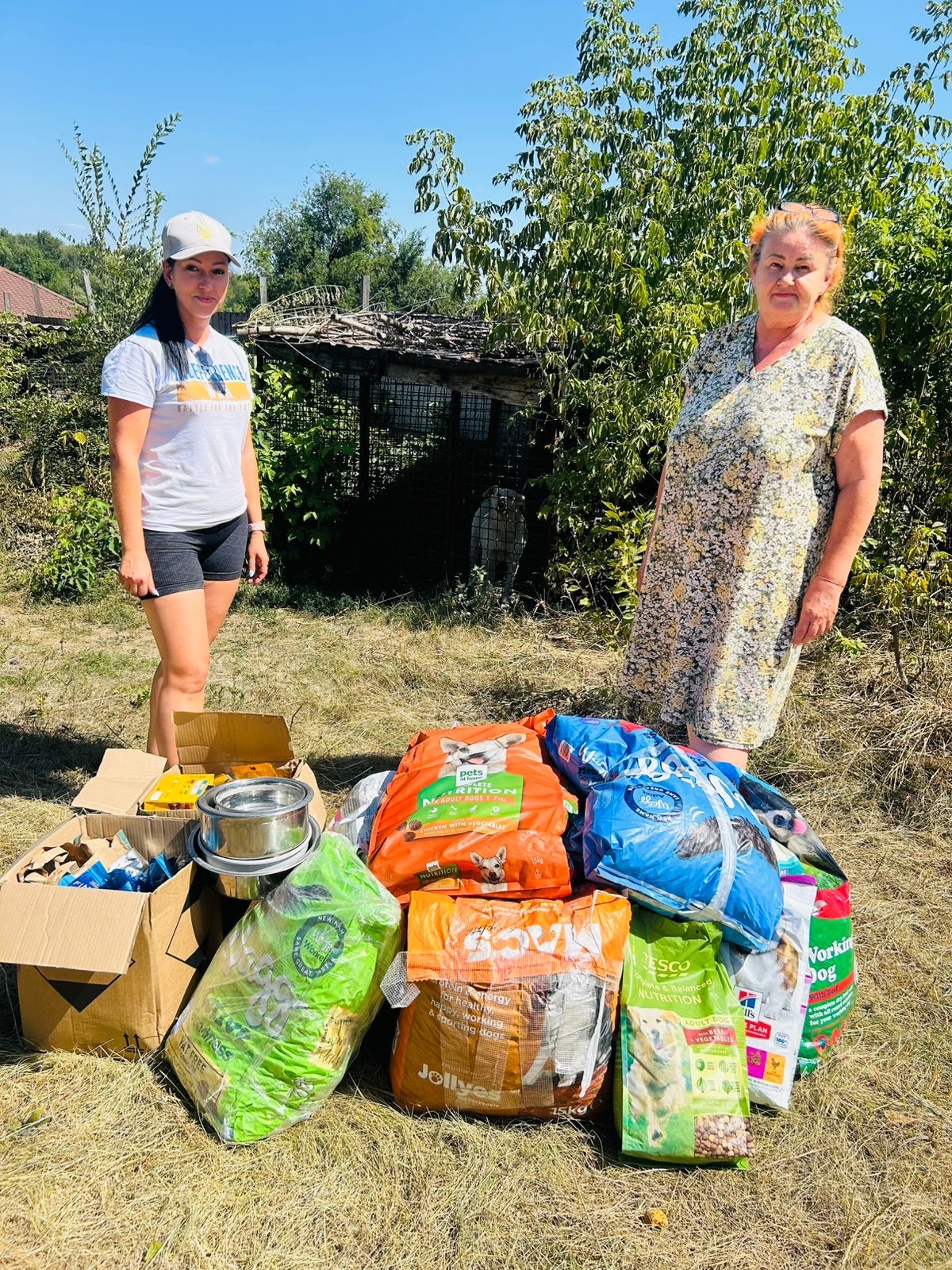 Somerset Aid for Ukraine campaign photo, 7 of 8