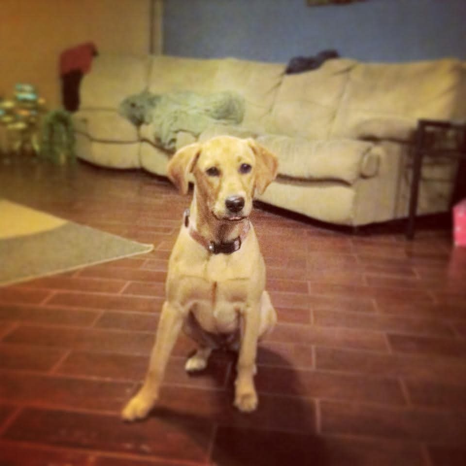 Help support me giving Skye the best time left campaign photo, 4 of 8